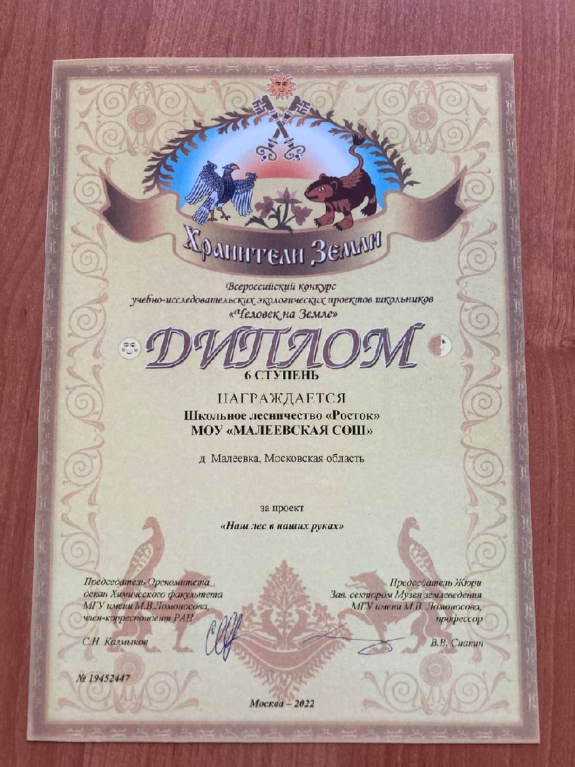 Клин, образование