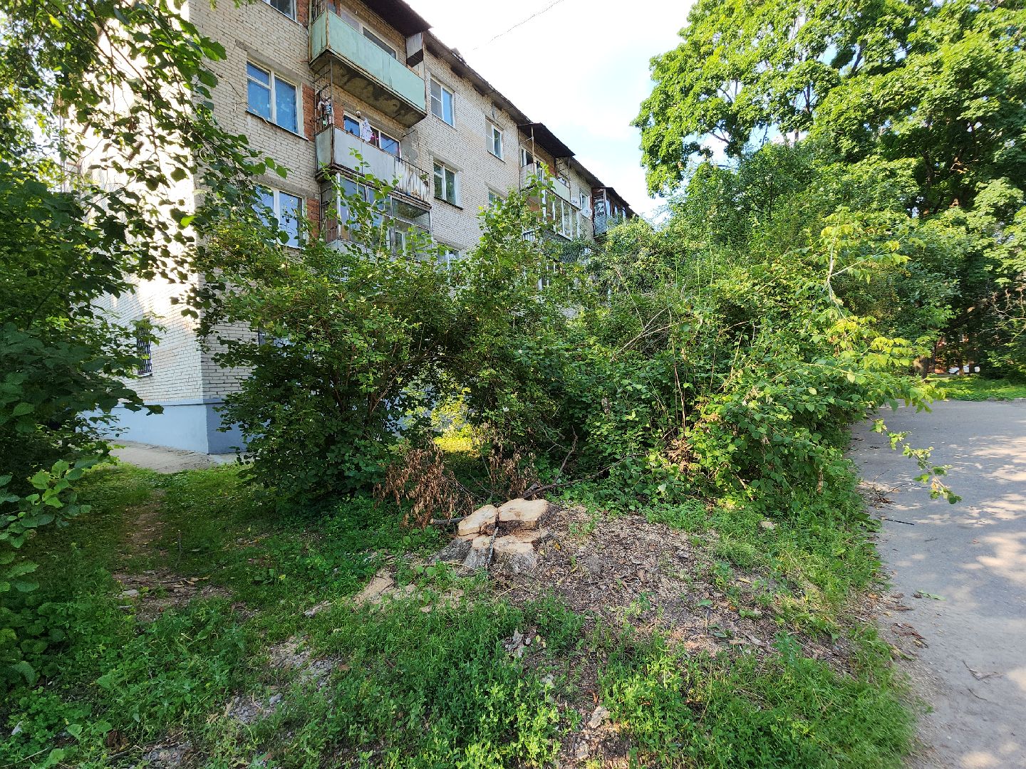 Черноголовка, Благоустройство, жкх, деревья,