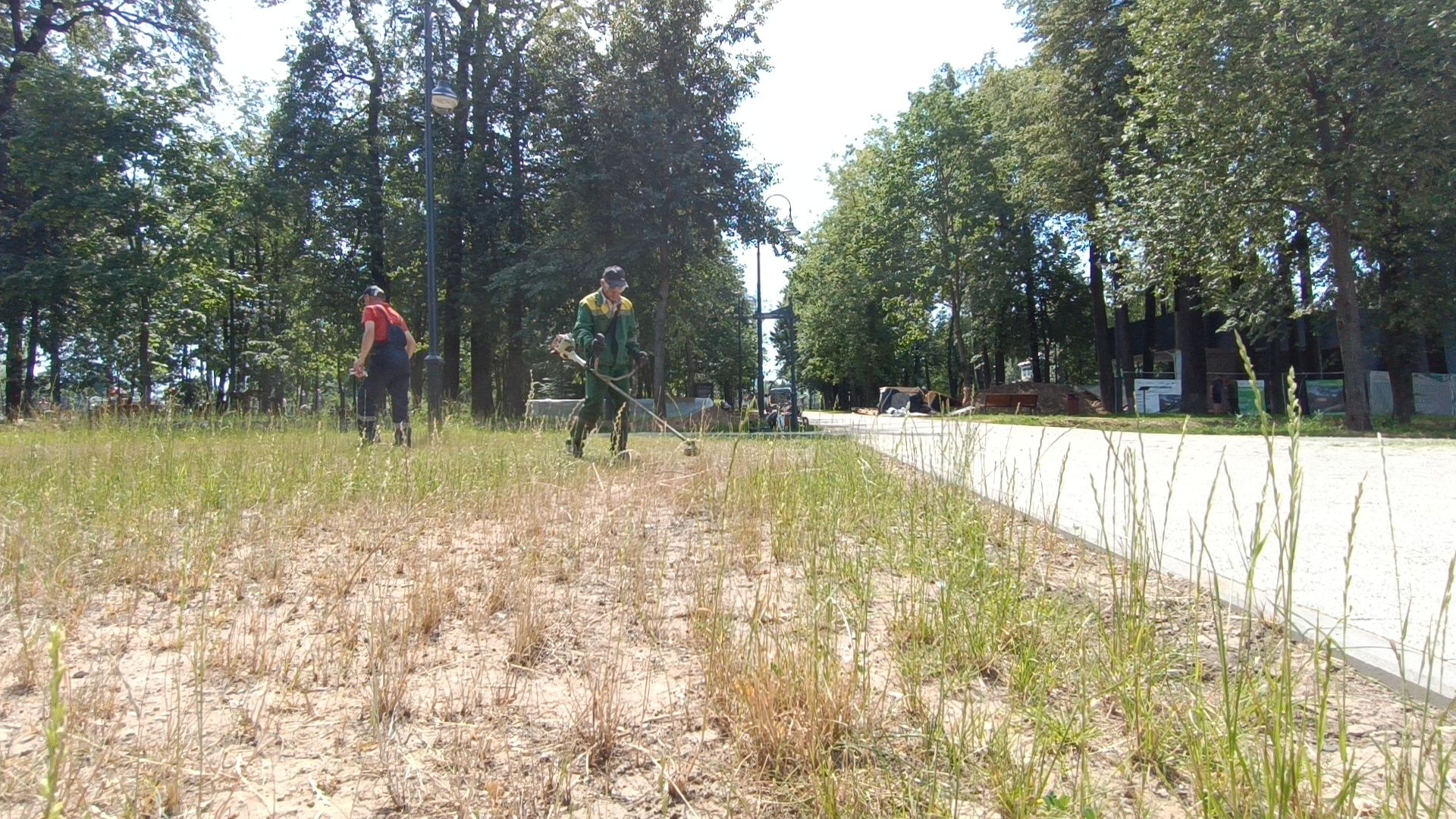 Парк, покос травы, уборка мусора, лобня,
