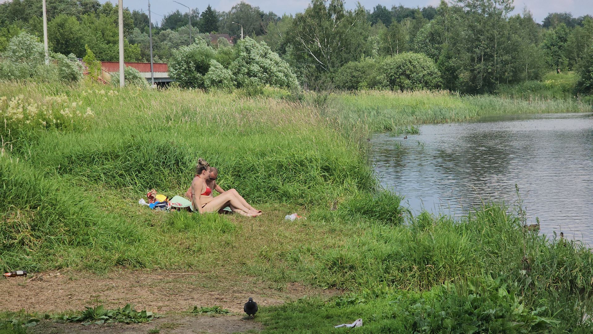 пушкино, пляж, отдых на воде, спасатели, правила безопасности, купания,происшествия,