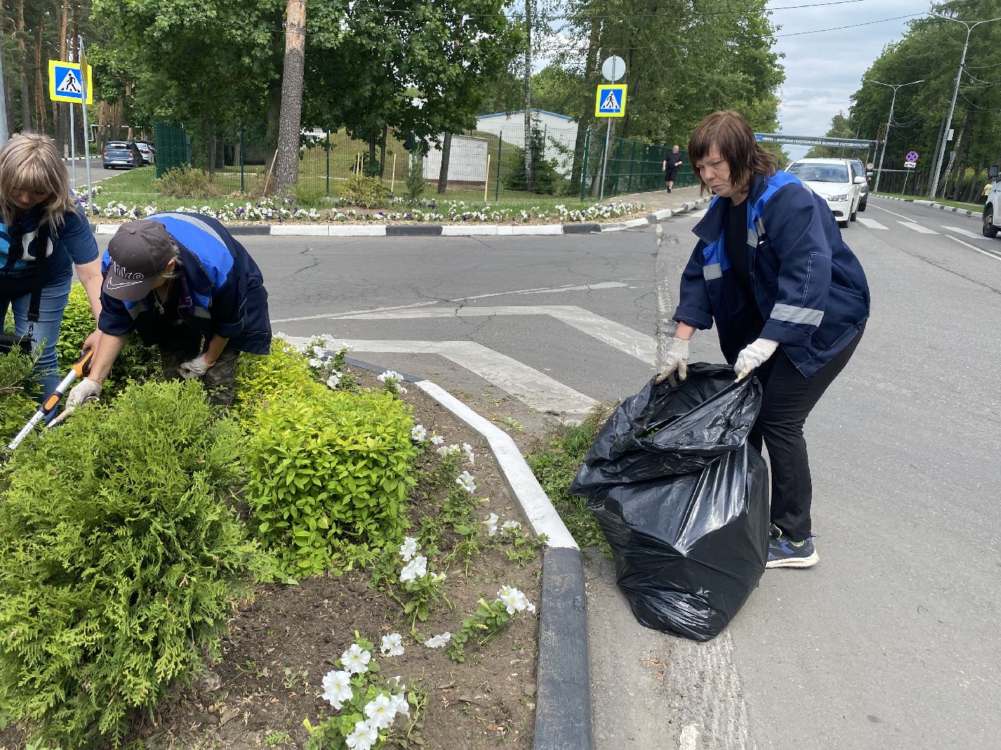 озеленение города, МБУ ЖКХ и благоустройство, Озеленение Власихи, цветочные композиции, цветочные клумбы,