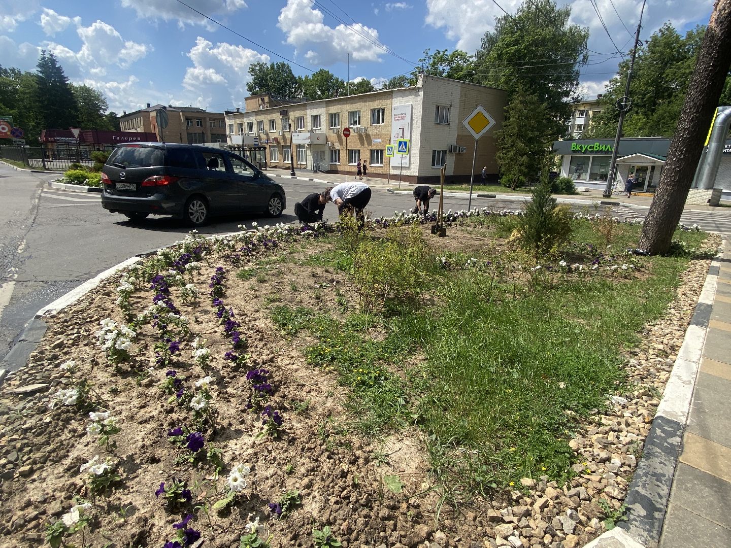 озеленение города, МБУ ЖКХ и благоустройство, Озеленение Власихи, цветочные композиции, цветочные клумбы,