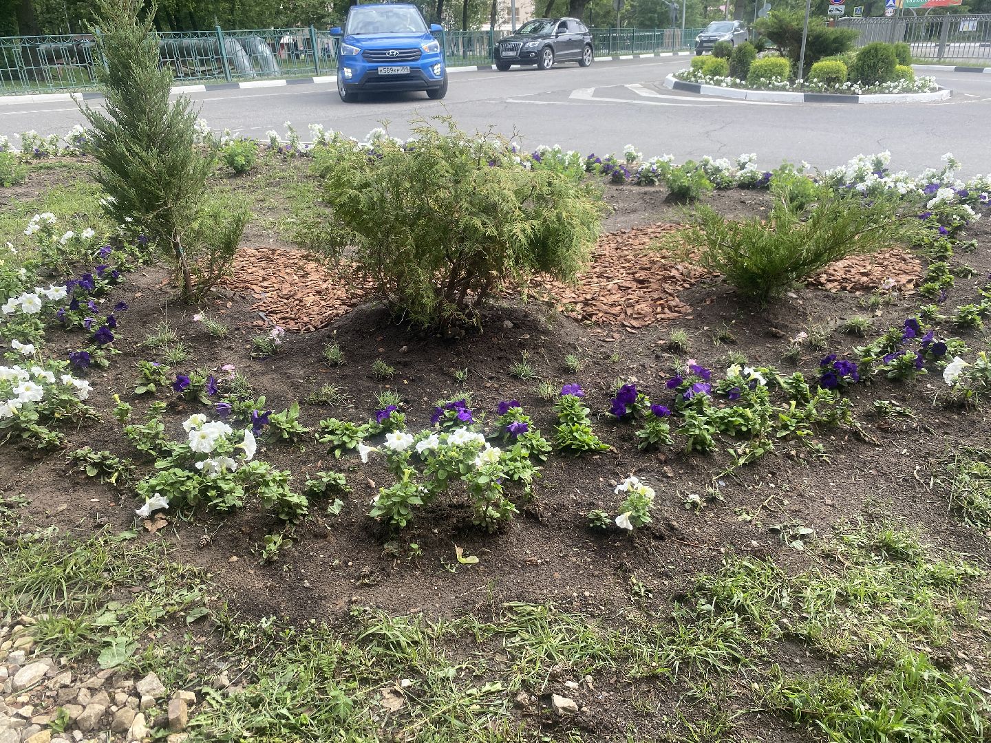 озеленение города, МБУ ЖКХ и благоустройство, Озеленение Власихи, цветочные композиции, цветочные клумбы,