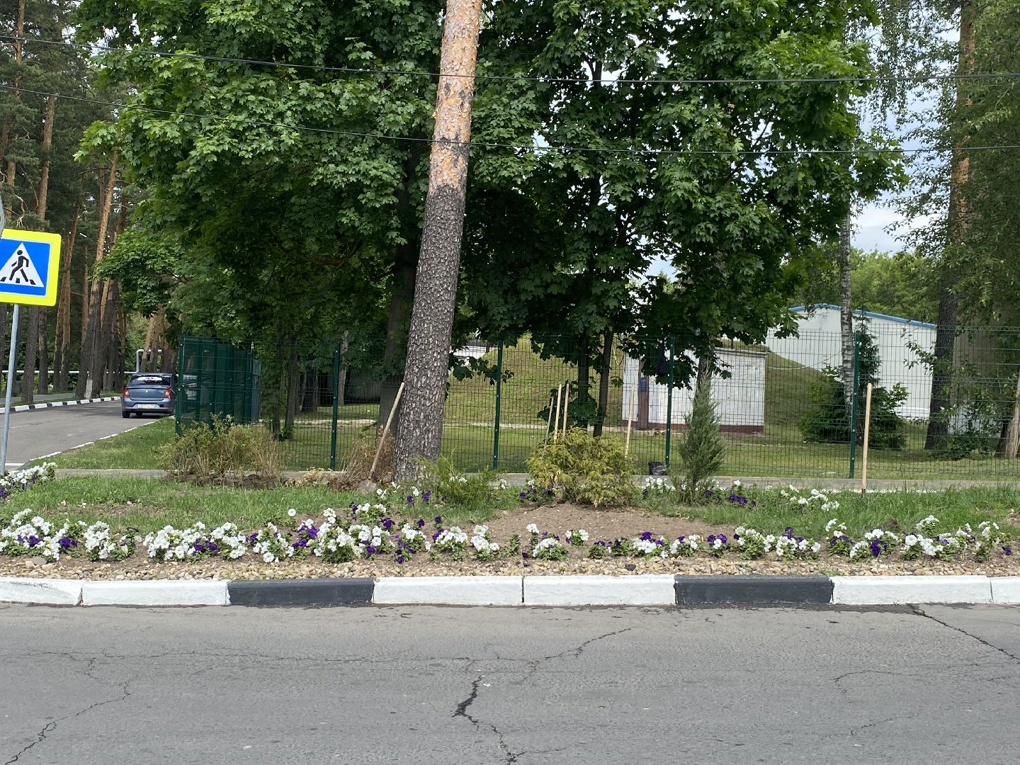 озеленение города, МБУ ЖКХ и благоустройство, Озеленение Власихи, цветочные композиции, цветочные клумбы,