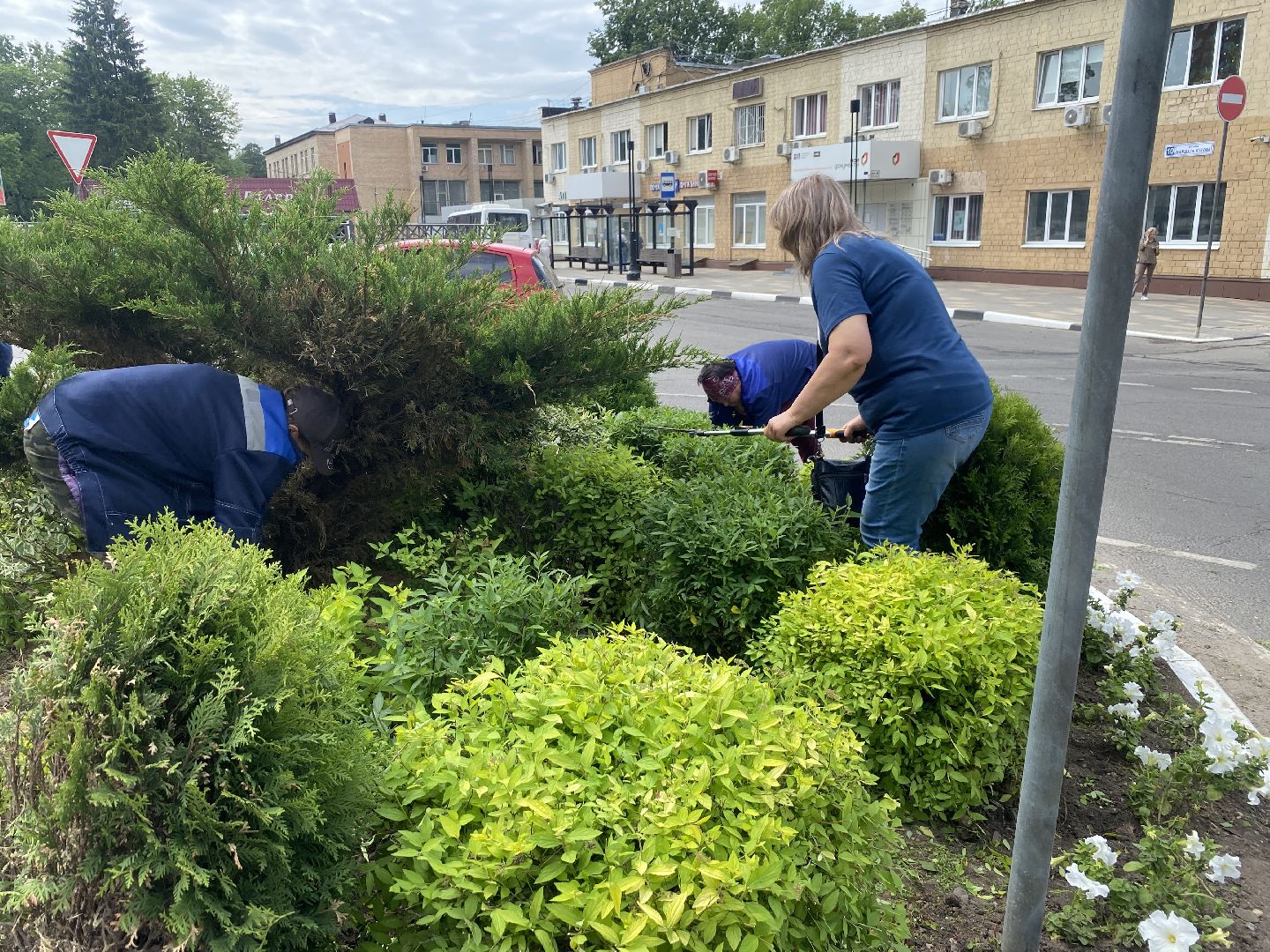 озеленение города, МБУ ЖКХ и благоустройство, Озеленение Власихи, цветочные композиции, цветочные клумбы,