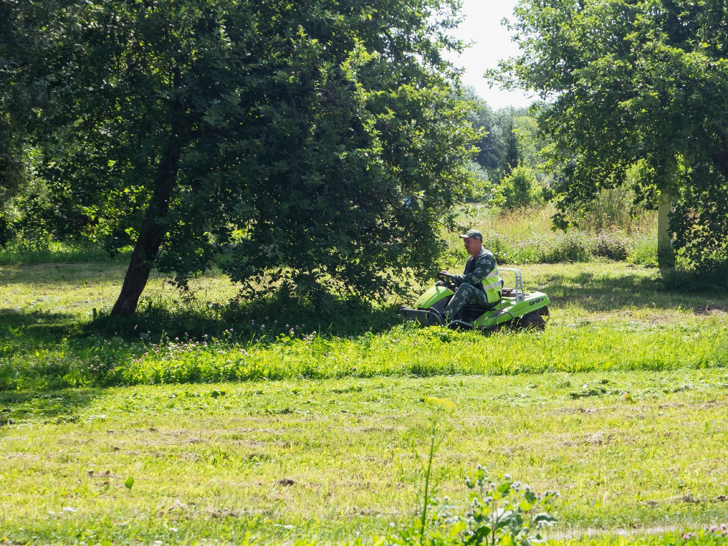 подмоксовье, покос травы, благоустройсто,