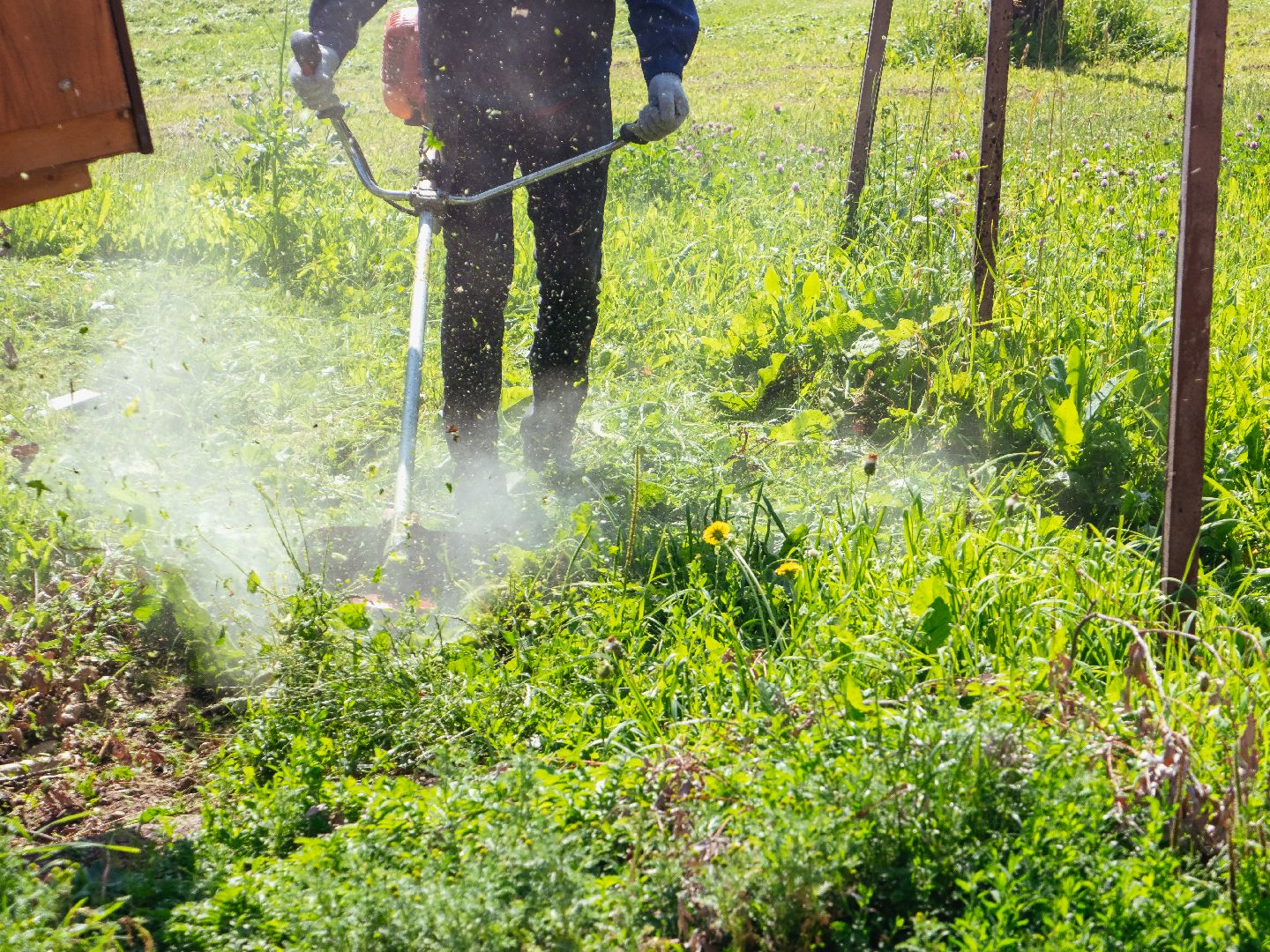 подмоксовье, покос травы, благоустройсто,