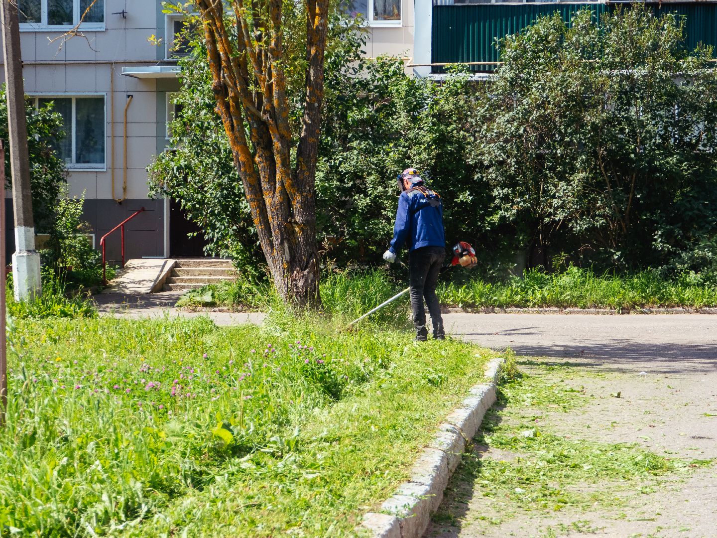 подмоксовье, покос травы, благоустройсто,