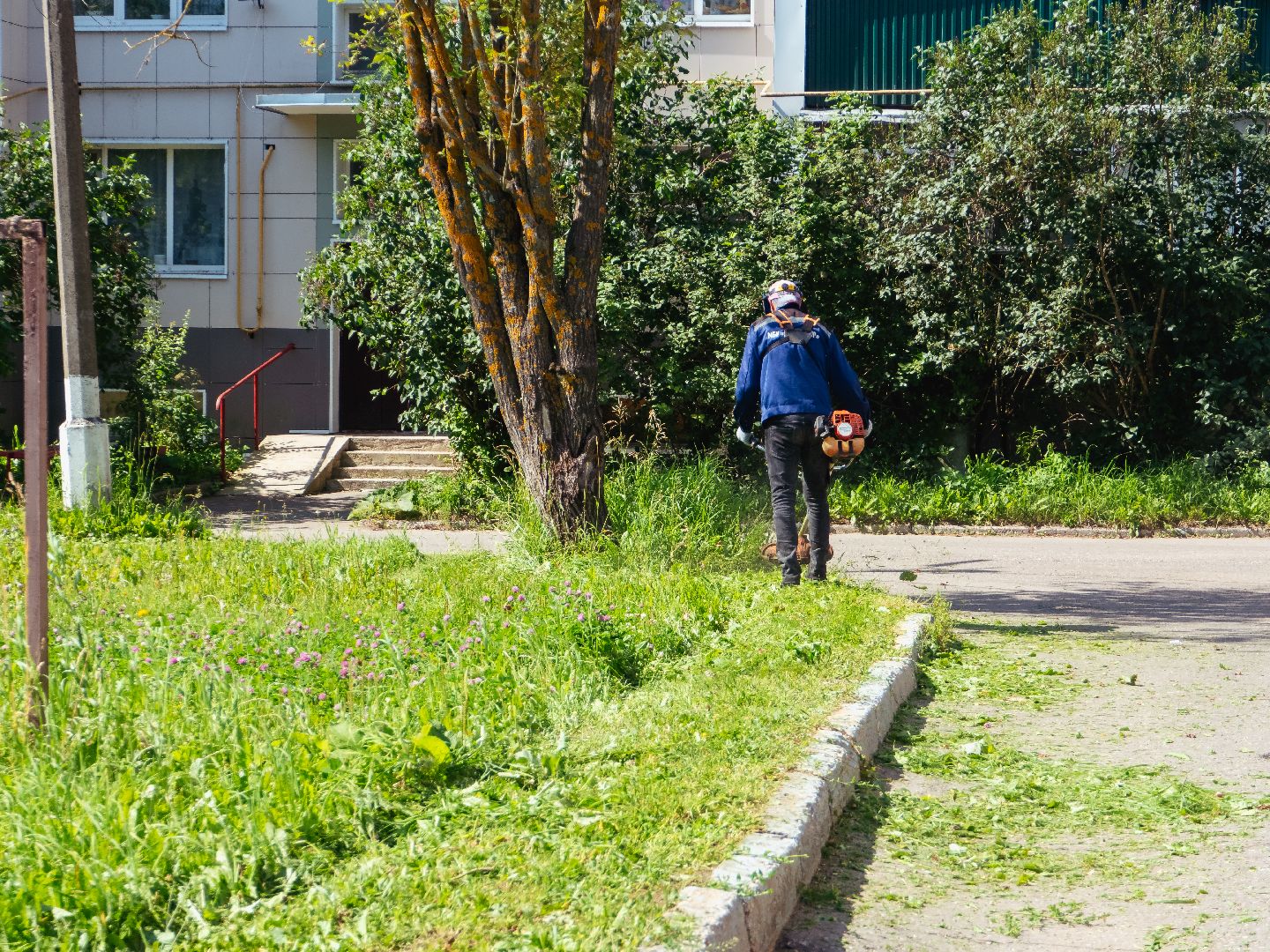 подмоксовье, покос травы, благоустройсто,