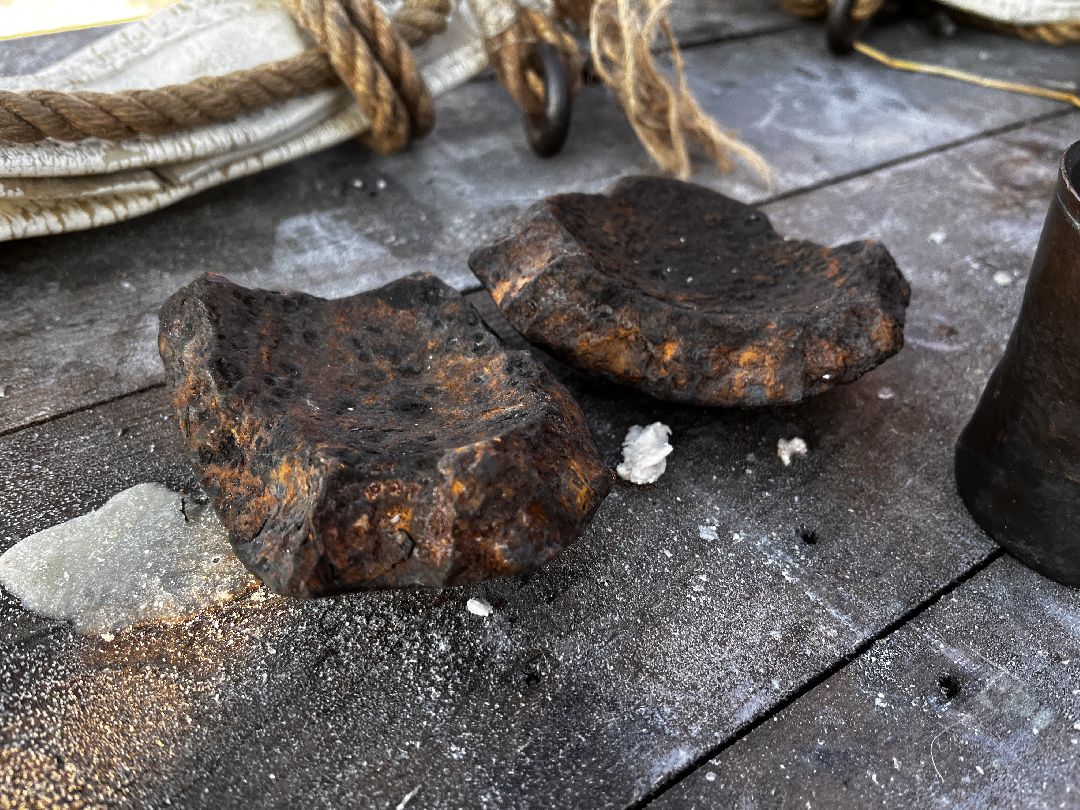 Можайск, общество