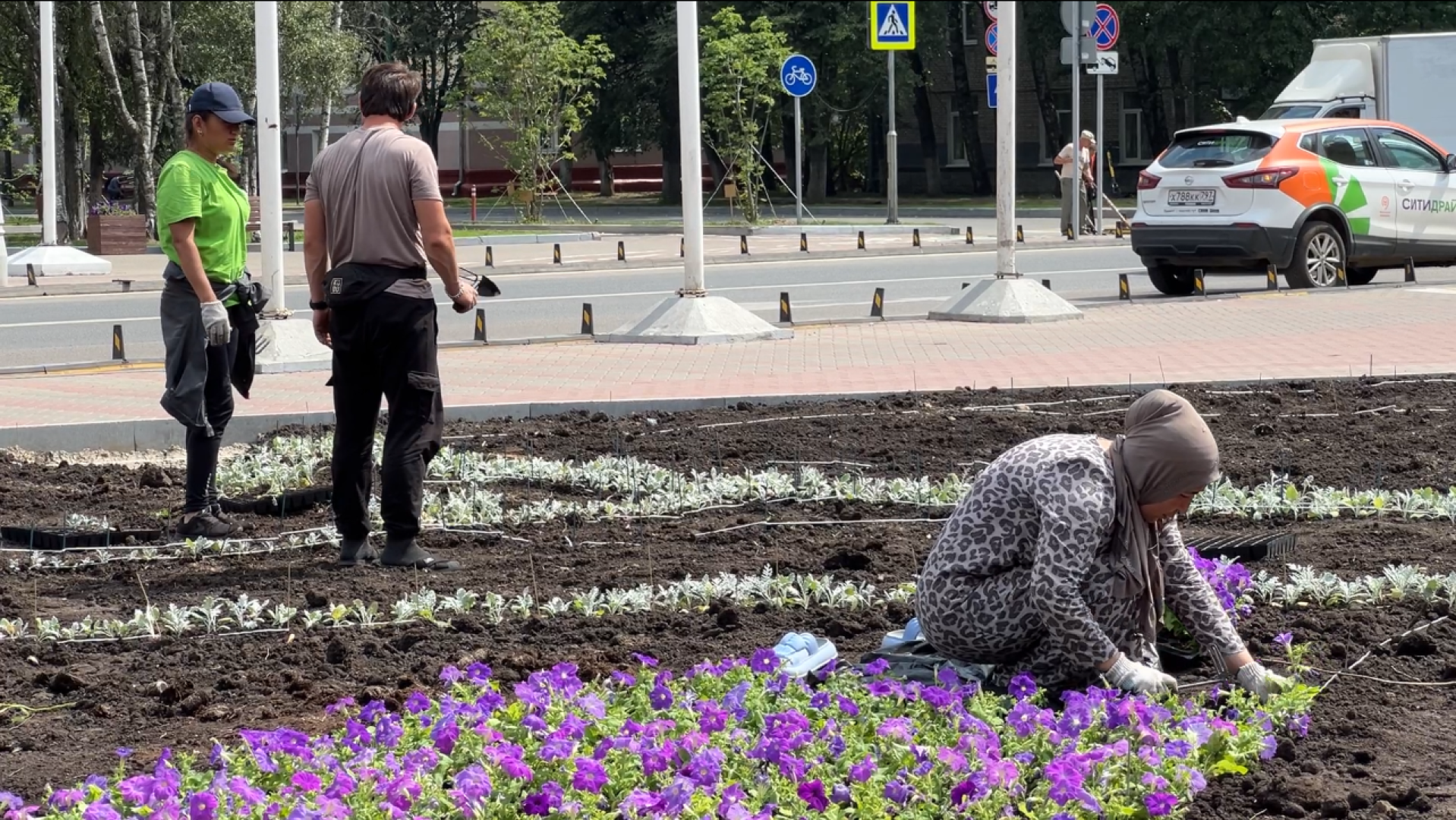 химки, благоустройство, клумбы, цветы, высадка цветов,