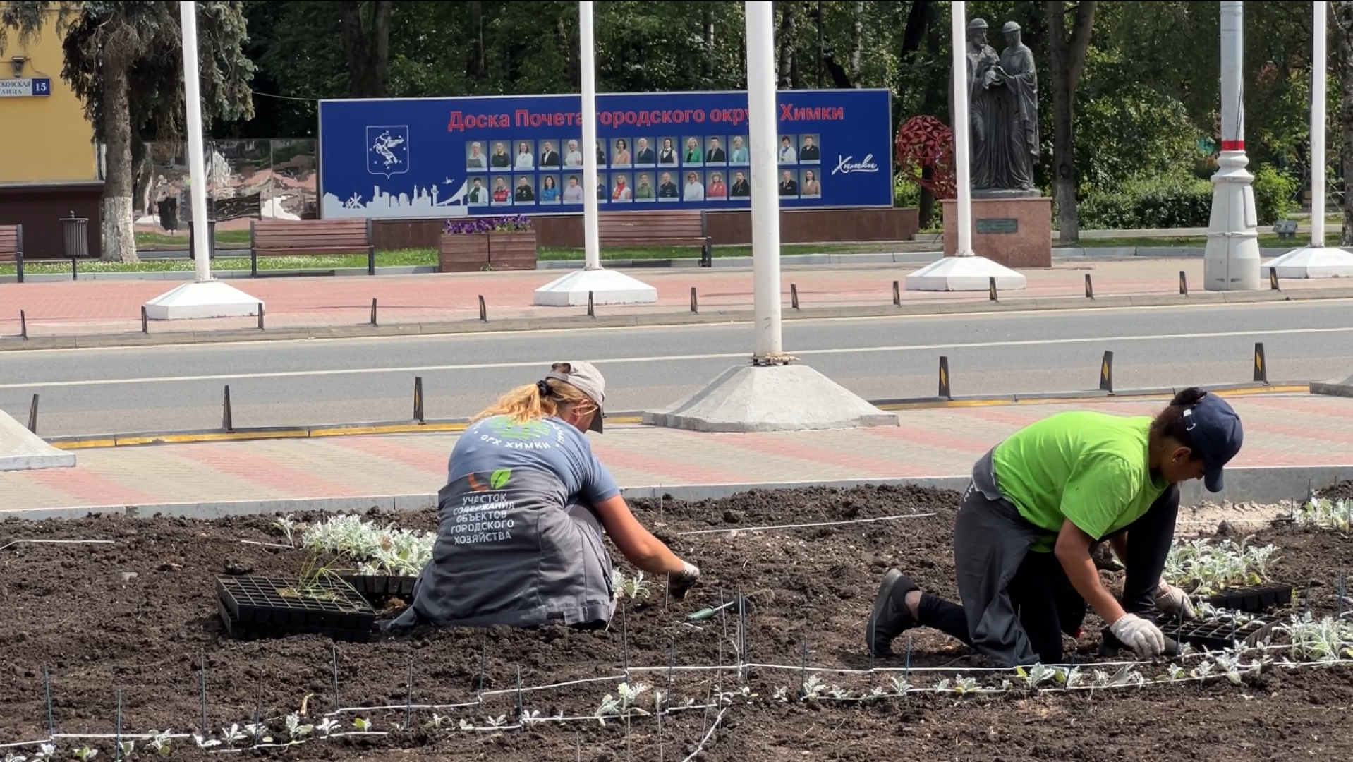 химки, благоустройство, клумбы, цветы, высадка цветов,
