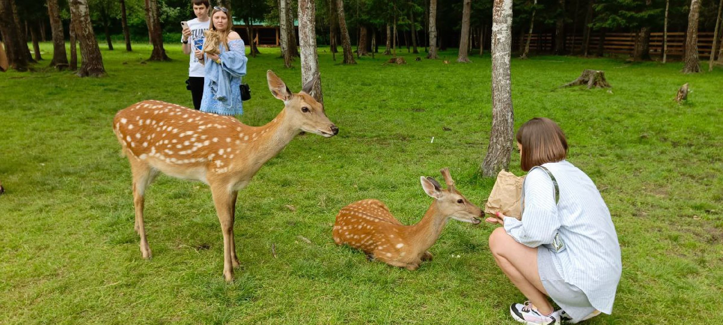 Талдом, Усадьба Веретьево, Контактный зоопарк,