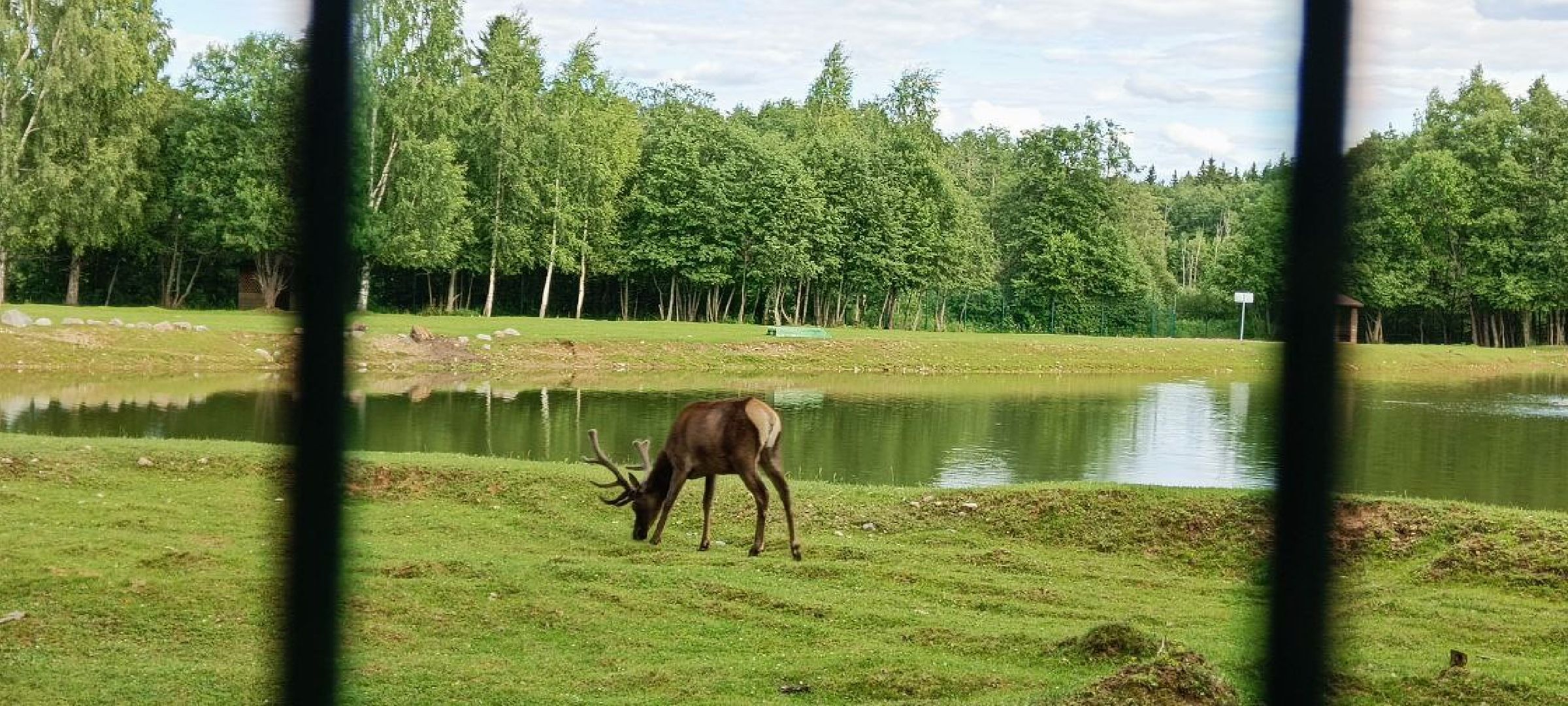 Талдом, Усадьба Веретьево, Контактный зоопарк,
