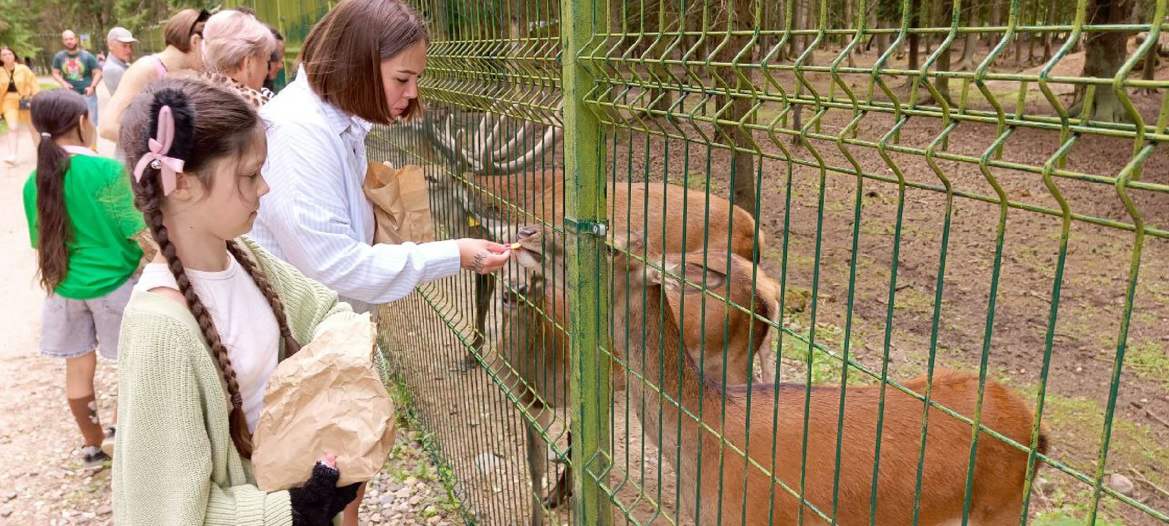 Талдом, Усадьба Веретьево, Контактный зоопарк,