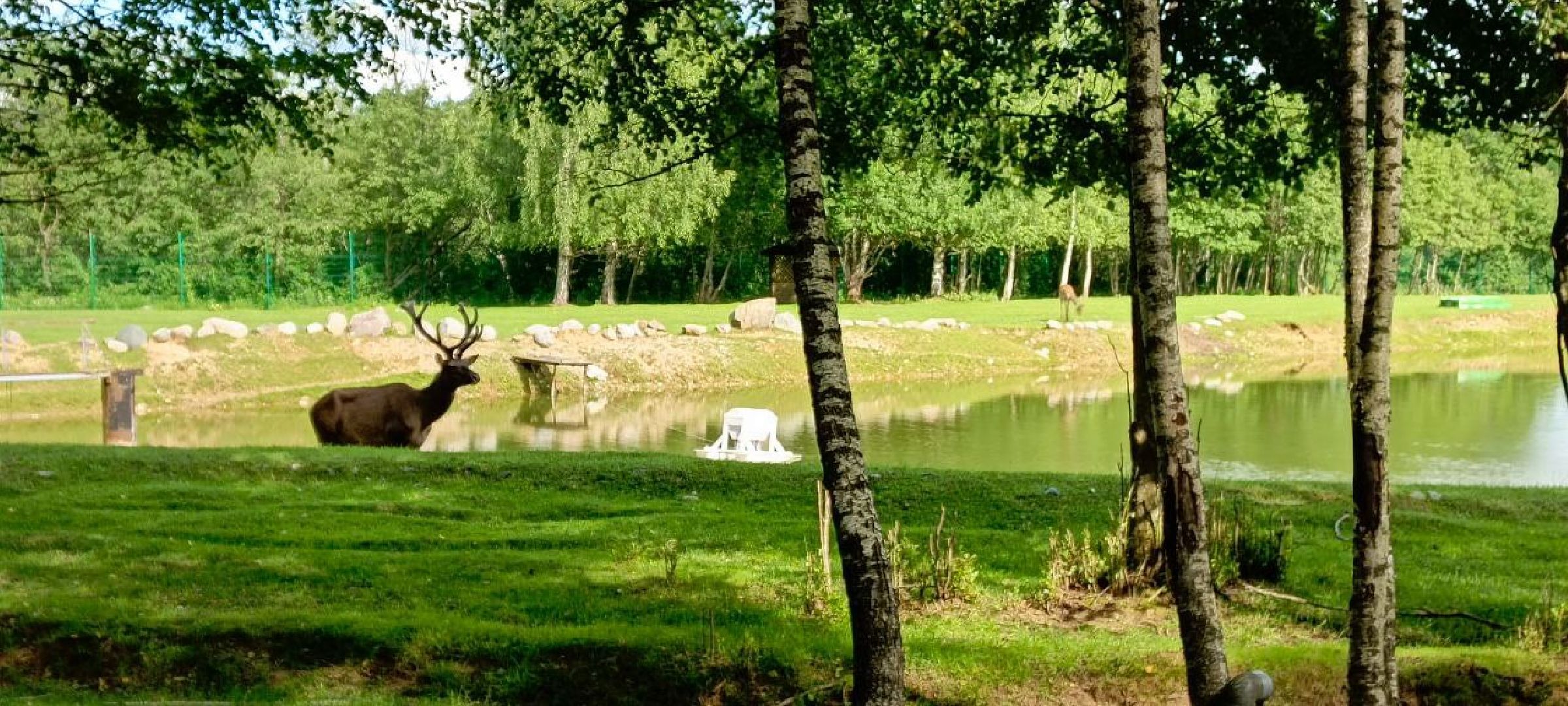 Талдом, Усадьба Веретьево, Контактный зоопарк,