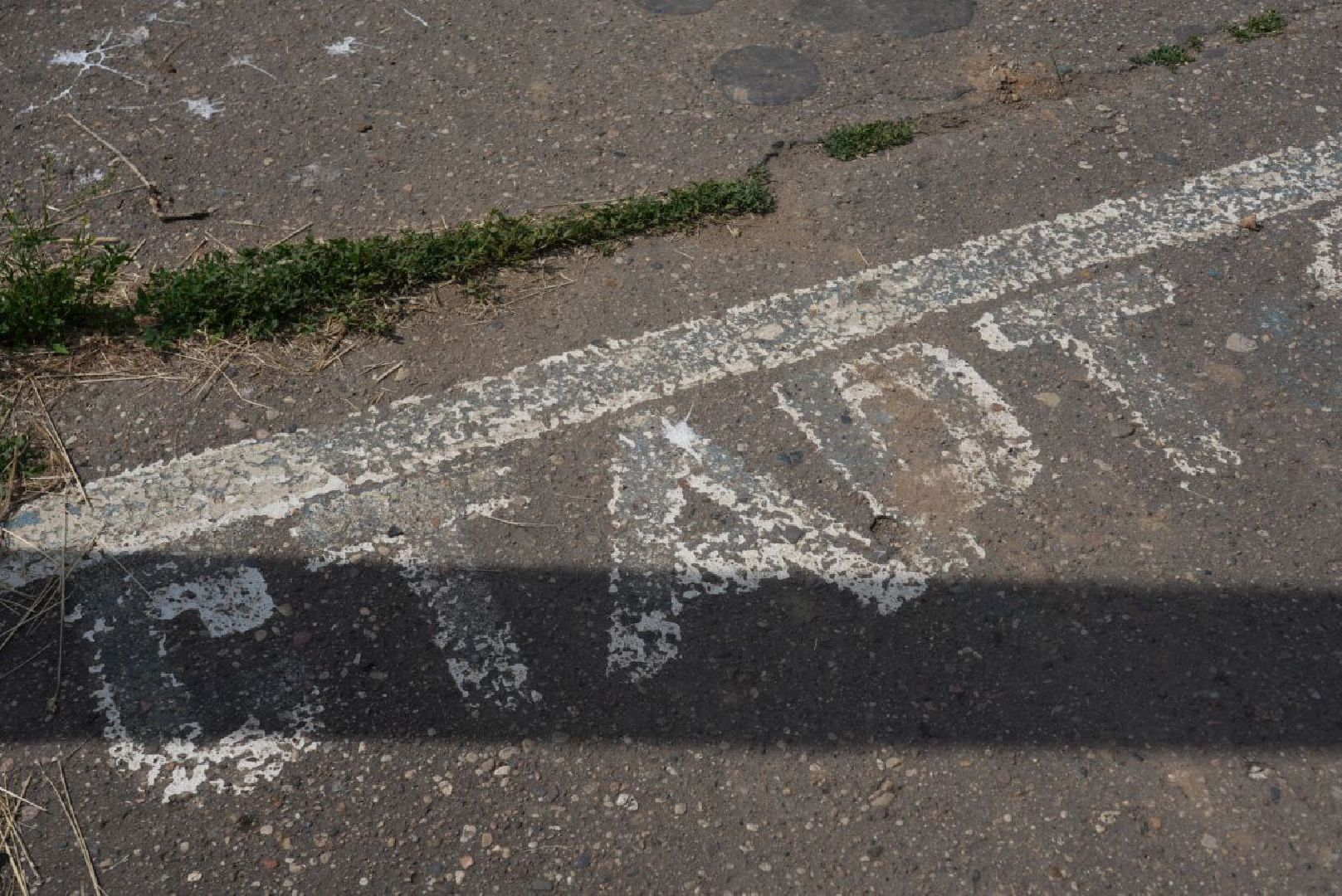 Спорт, Реконструкция, Региональная программа, Сергиев Посад,