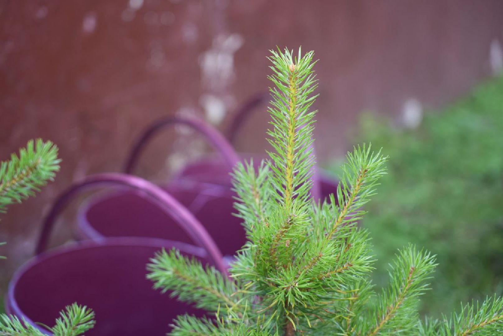 Сергиев Посад, Сергиево-Посадский институт игрушки, Всероссийская школа народных искусств, ВШНИ, Народные промыслы, Русский мир, Традиции,