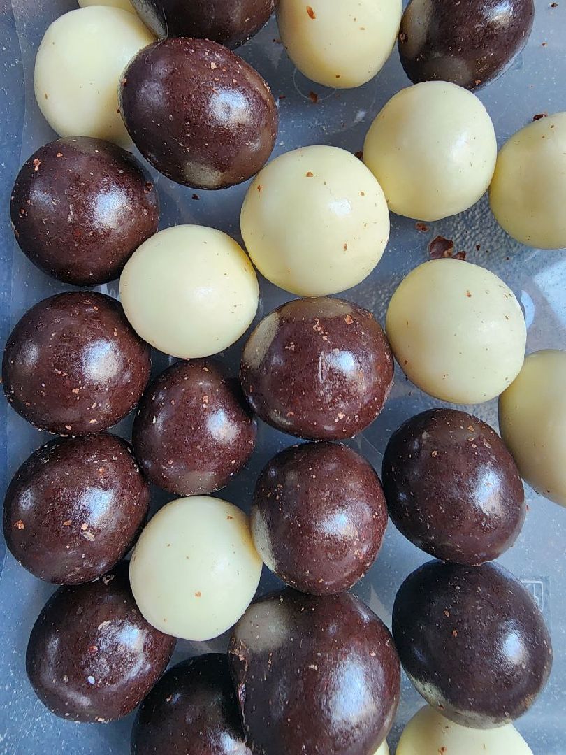 чехов, экономика, земля за рубль, завод, строительство, производство,