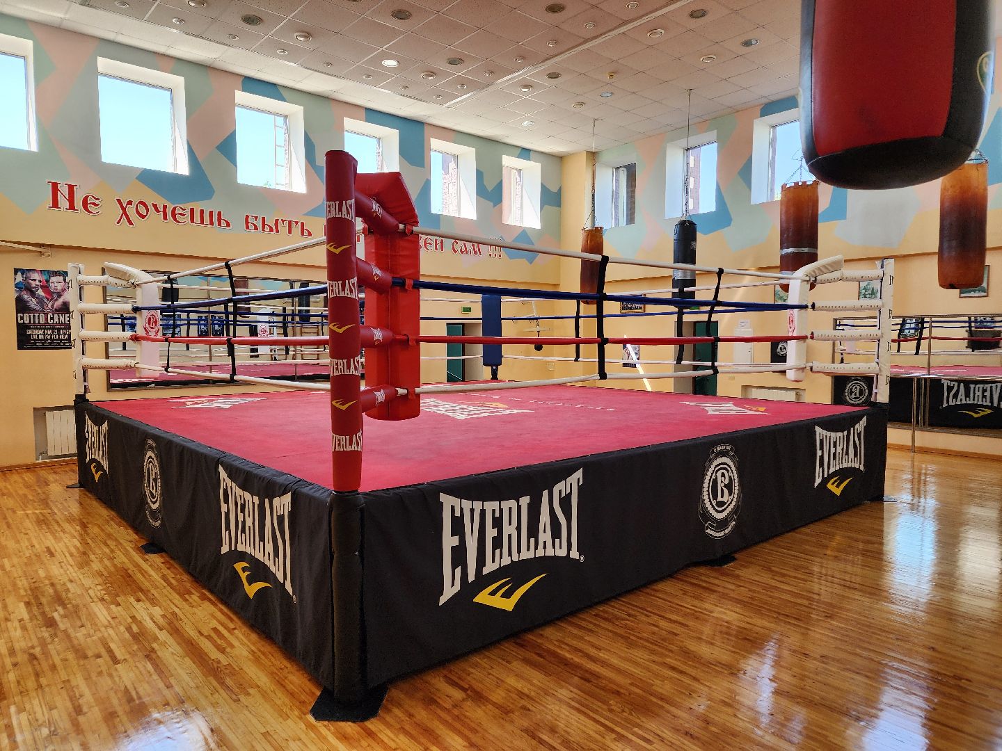 Чехов, бокс, Чемпионат России, Чемпионат Европы, призер, Ксения Андреева, Спортивная школа бокса Витязь,