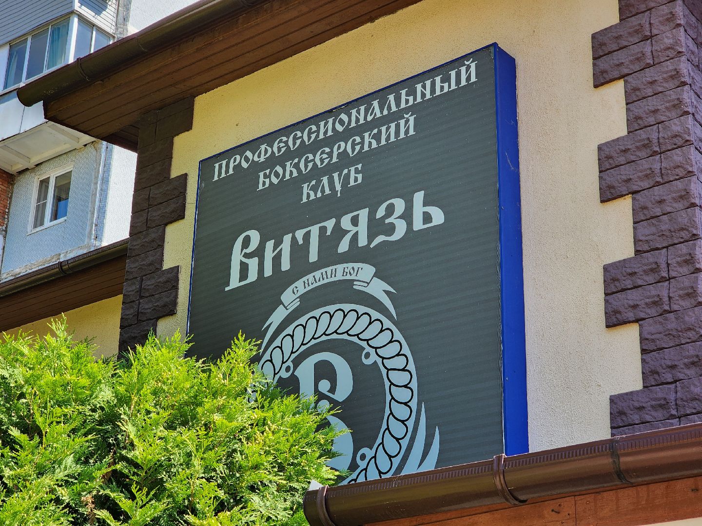 Чехов, бокс, Чемпионат России, Чемпионат Европы, призер, Ксения Андреева, Спортивная школа бокса Витязь,