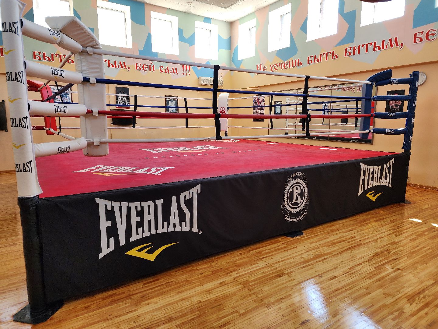 Чехов, бокс, Чемпионат России, Чемпионат Европы, призер, Ксения Андреева, Спортивная школа бокса Витязь,