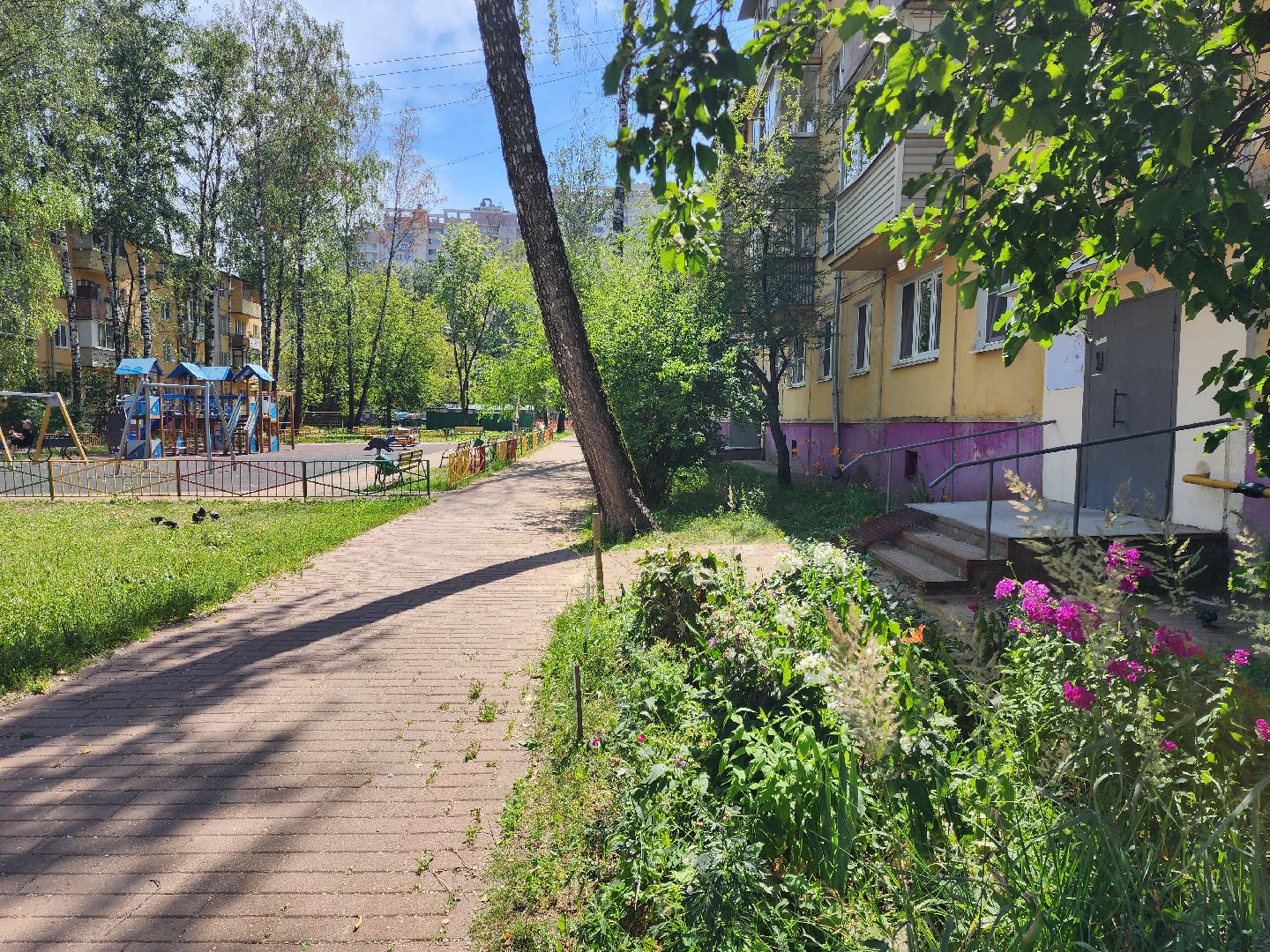 раменское, жкх, ремонт подъездов, улица Новостройки дом 11-4,