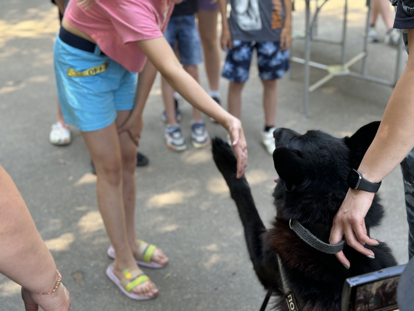 Оздоровительный лагерь Салют, Правила безопасности дорожного движения, ленинский городской округ, поселок Володарского, ГАИ, безопасность на дорогах,