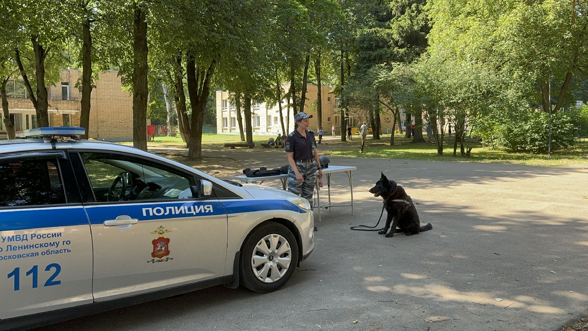 Оздоровительный лагерь Салют, Правила безопасности дорожного движения, ленинский городской округ, поселок Володарского, ГАИ, безопасность на дорогах,
