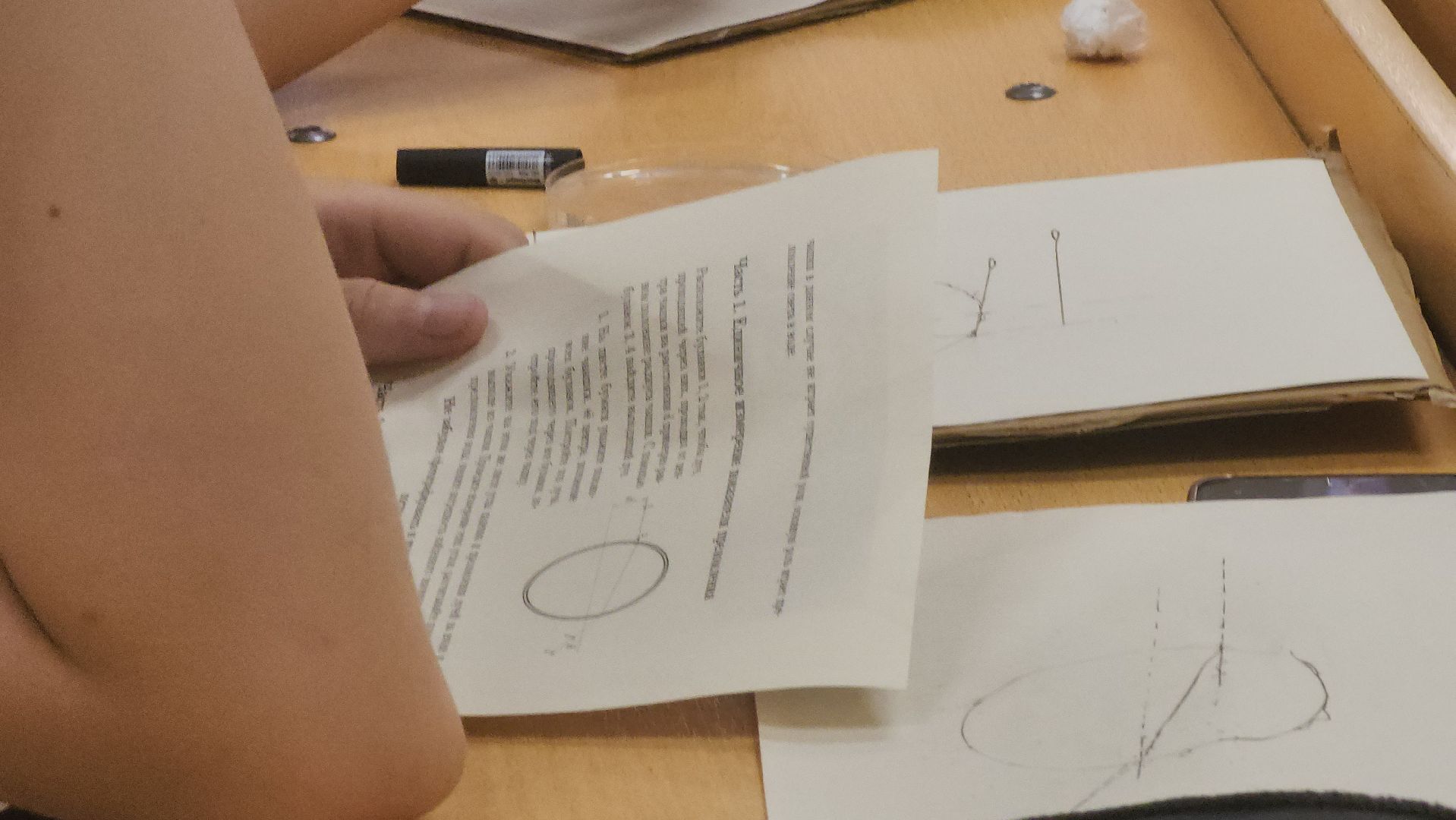 долгопрудный, мфти, олимпиады, школьники, студенты, летний образовательный лагерь,