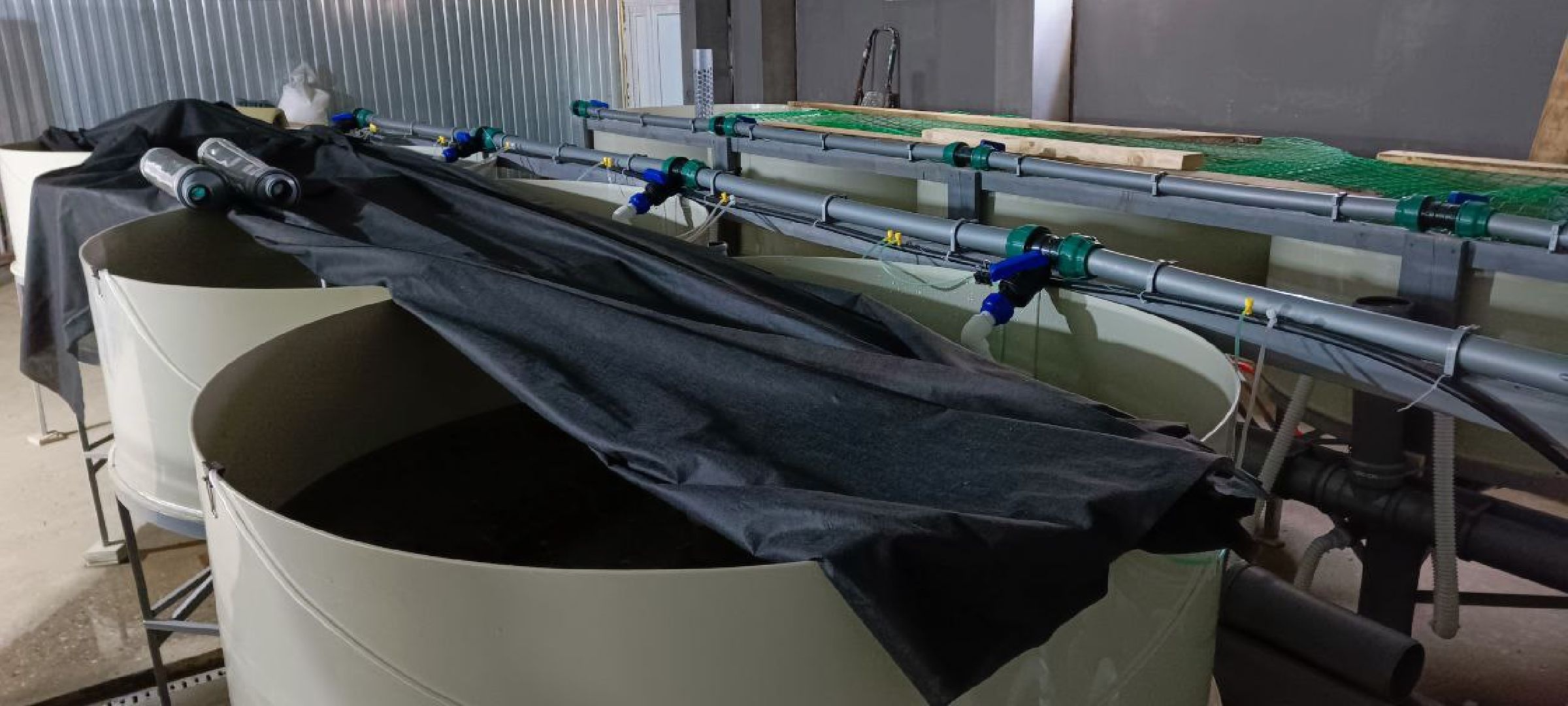 Талдом, Северный,