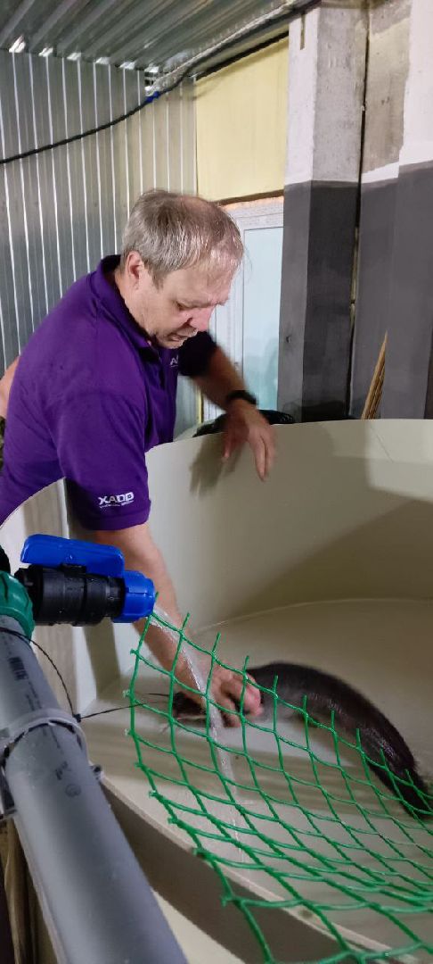 Талдом, Северный,