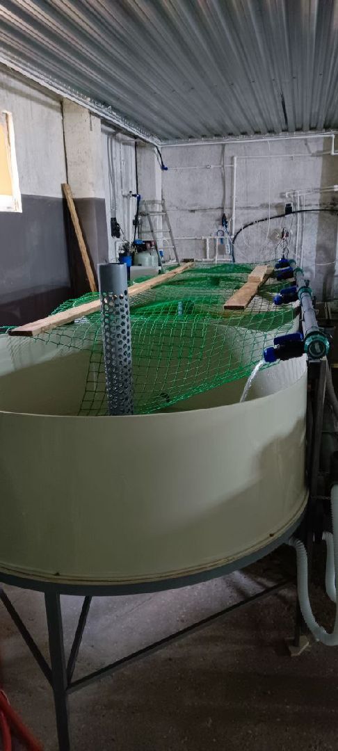 Талдом, Северный,