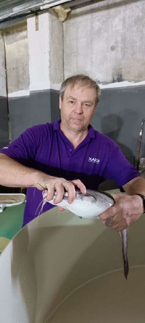 Талдом, Северный,