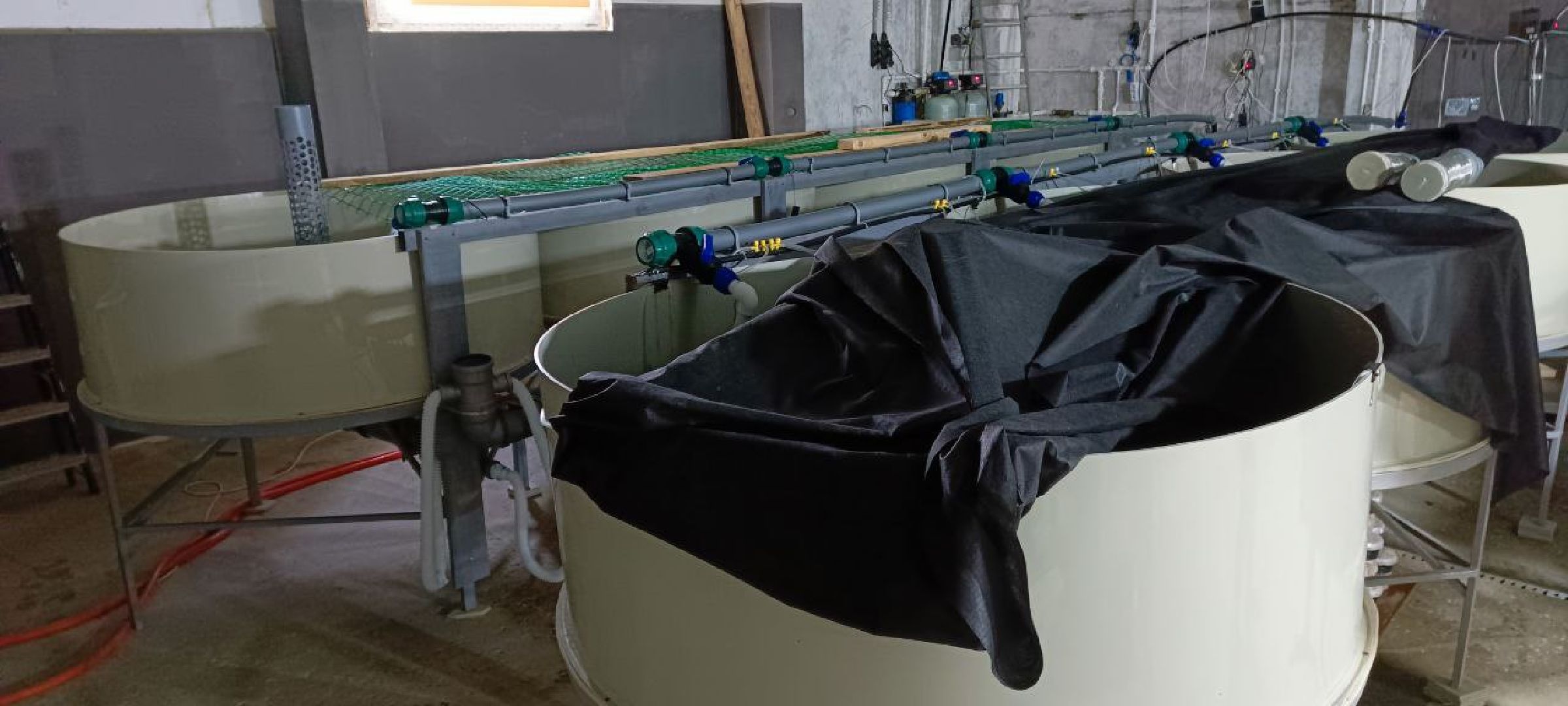 Талдом, Северный,