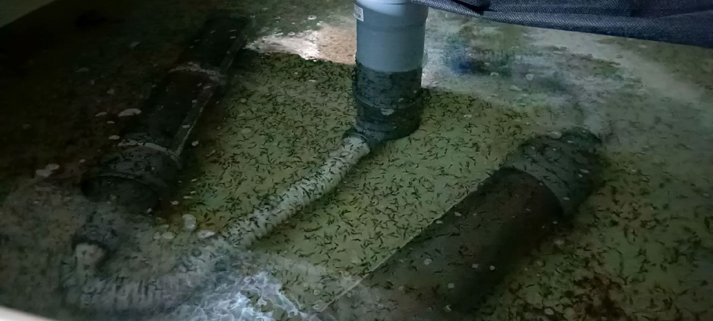 Талдом, Северный,