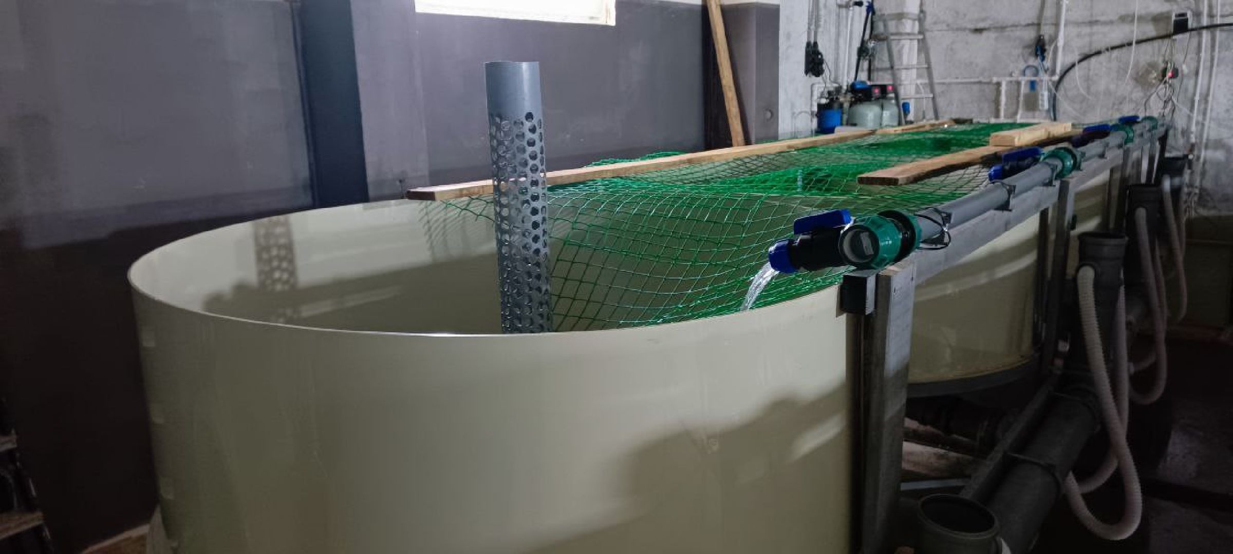 Талдом, Северный,