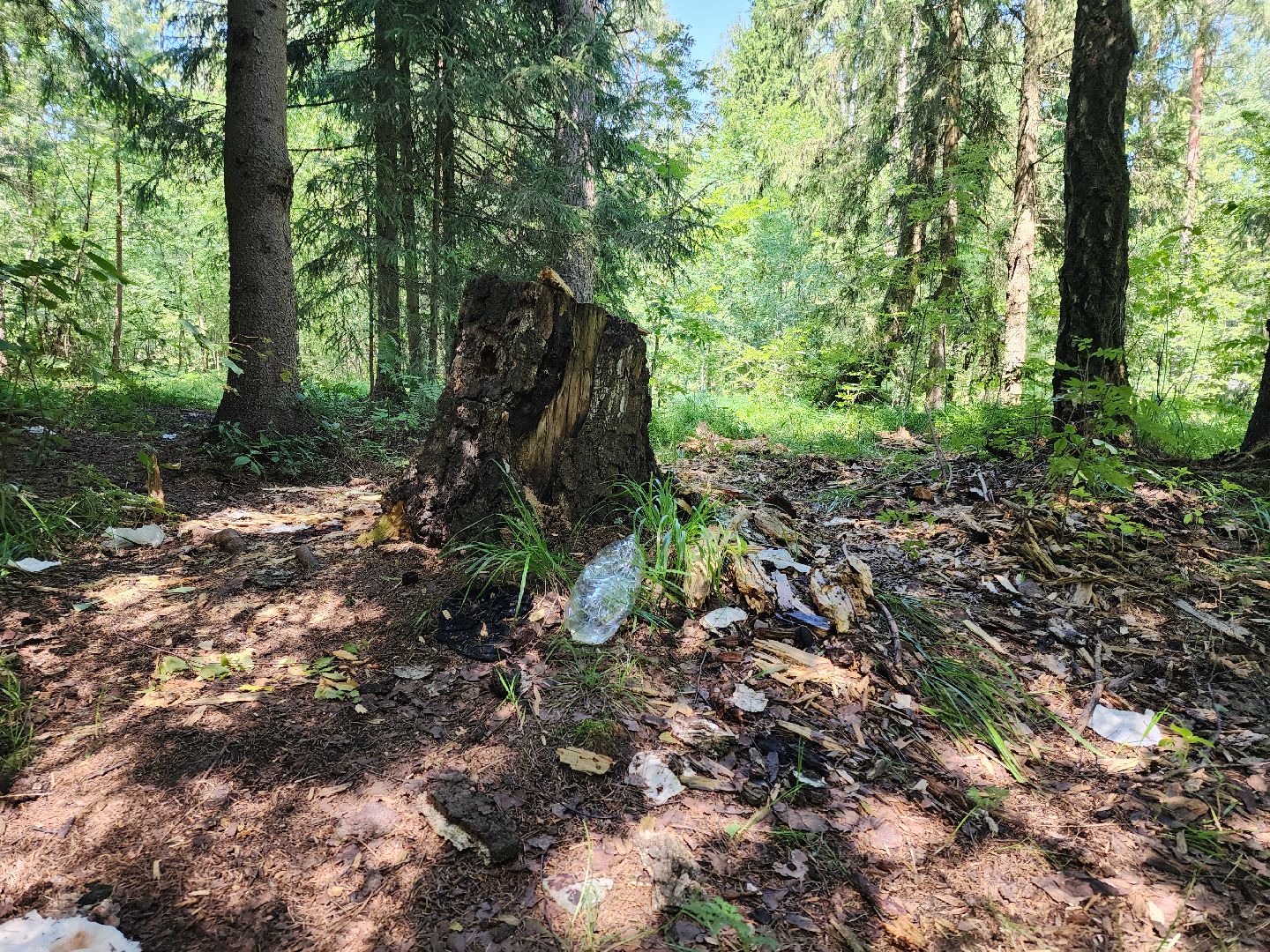 черноголовка, Северное озеро, экология, мусор,