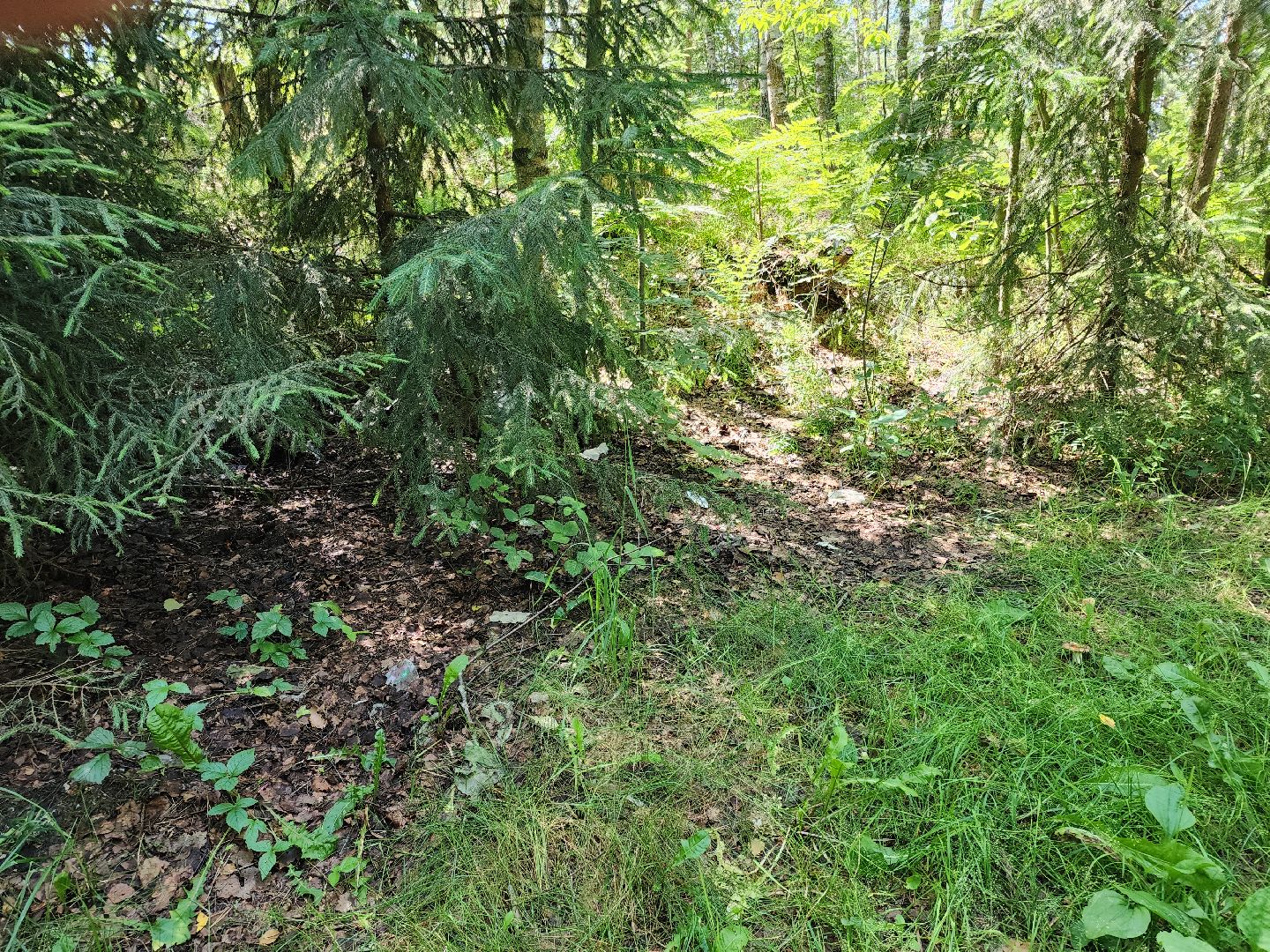 черноголовка, Северное озеро, экология, мусор,