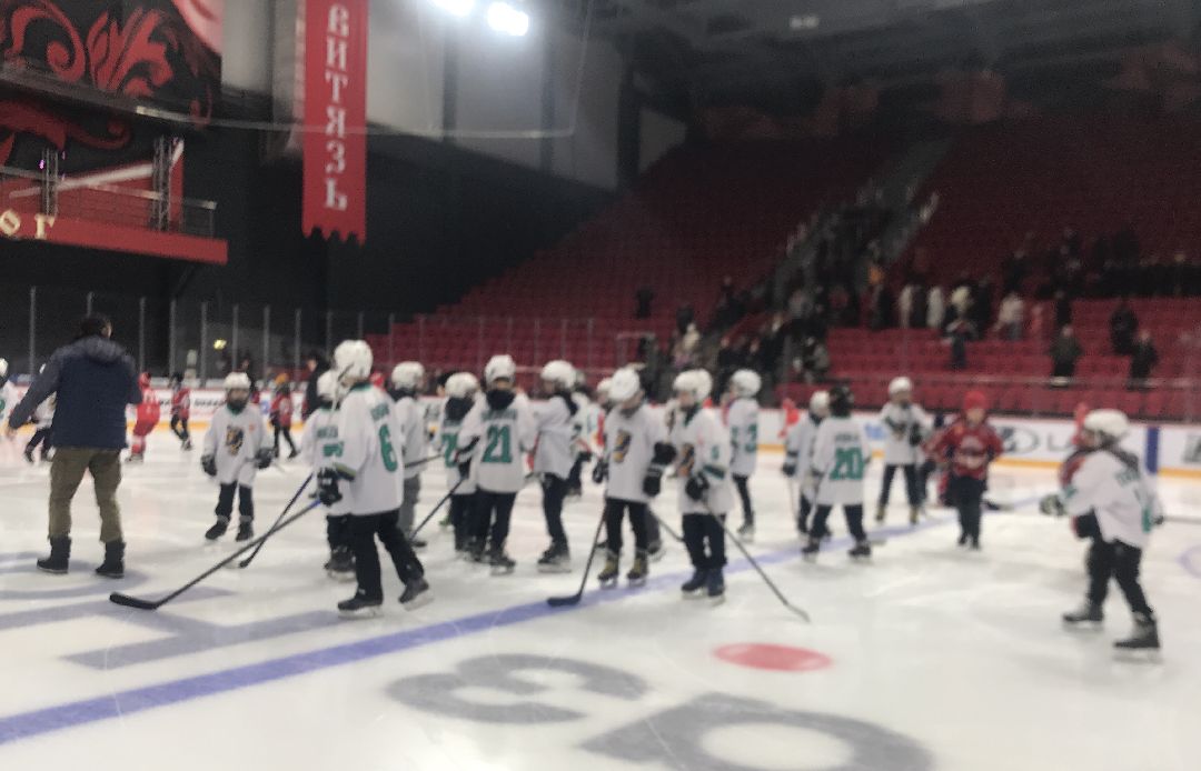 Балашиха, общество