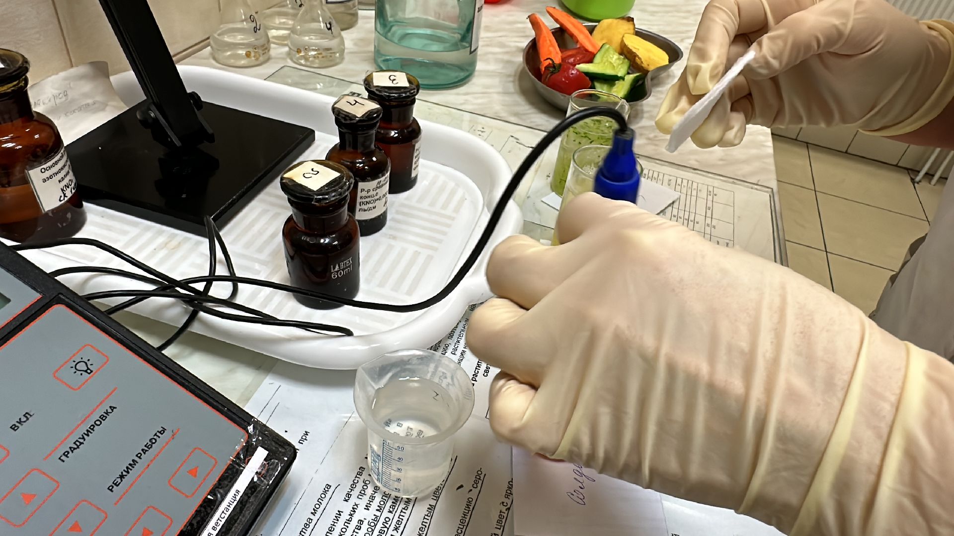 Одинцово, Бизнес, Экономика, Ветконтроль