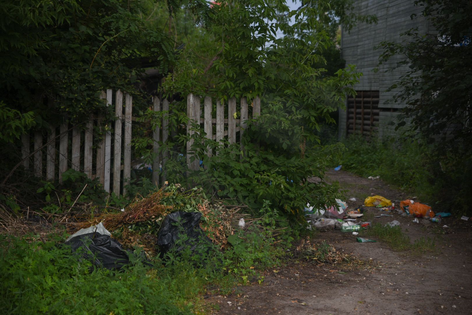 Бронницы, Несанкционированная свалка, Благоустройство, Выездная администрация Бронницы, Встреча администрации с жителями,
