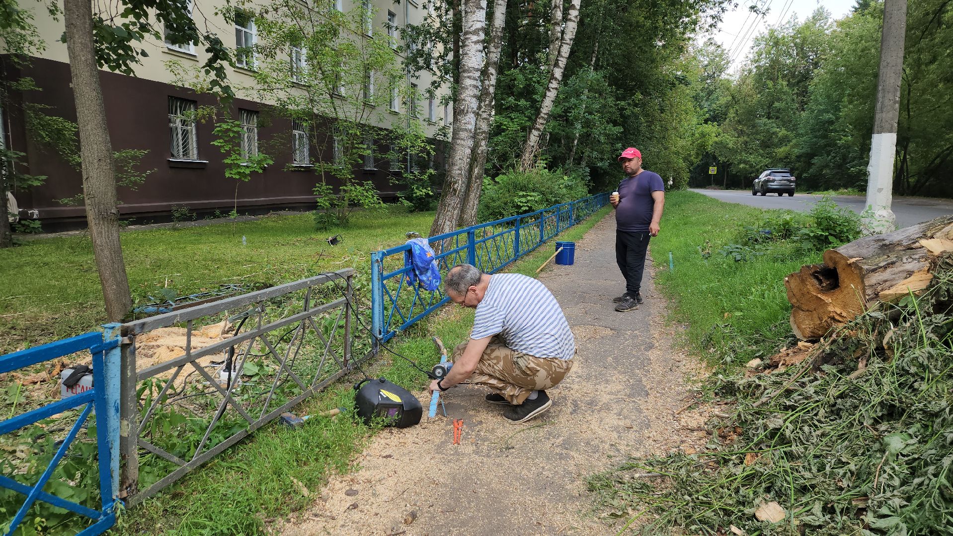 пушкино, благоустройство, дворовые территории, аварийность, деревья, ограждение,