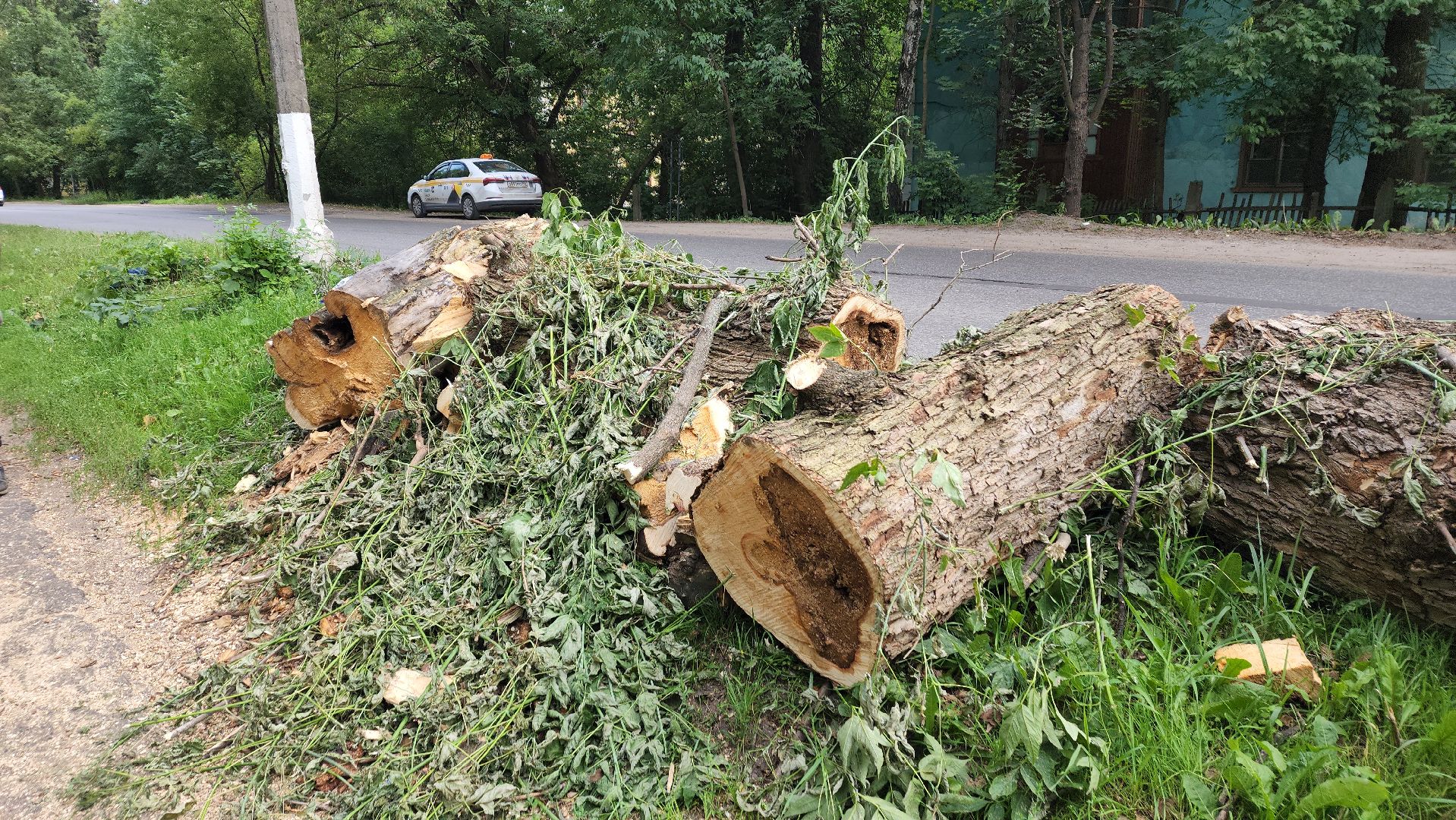 пушкино, благоустройство, дворовые территории, аварийность, деревья, ограждение,