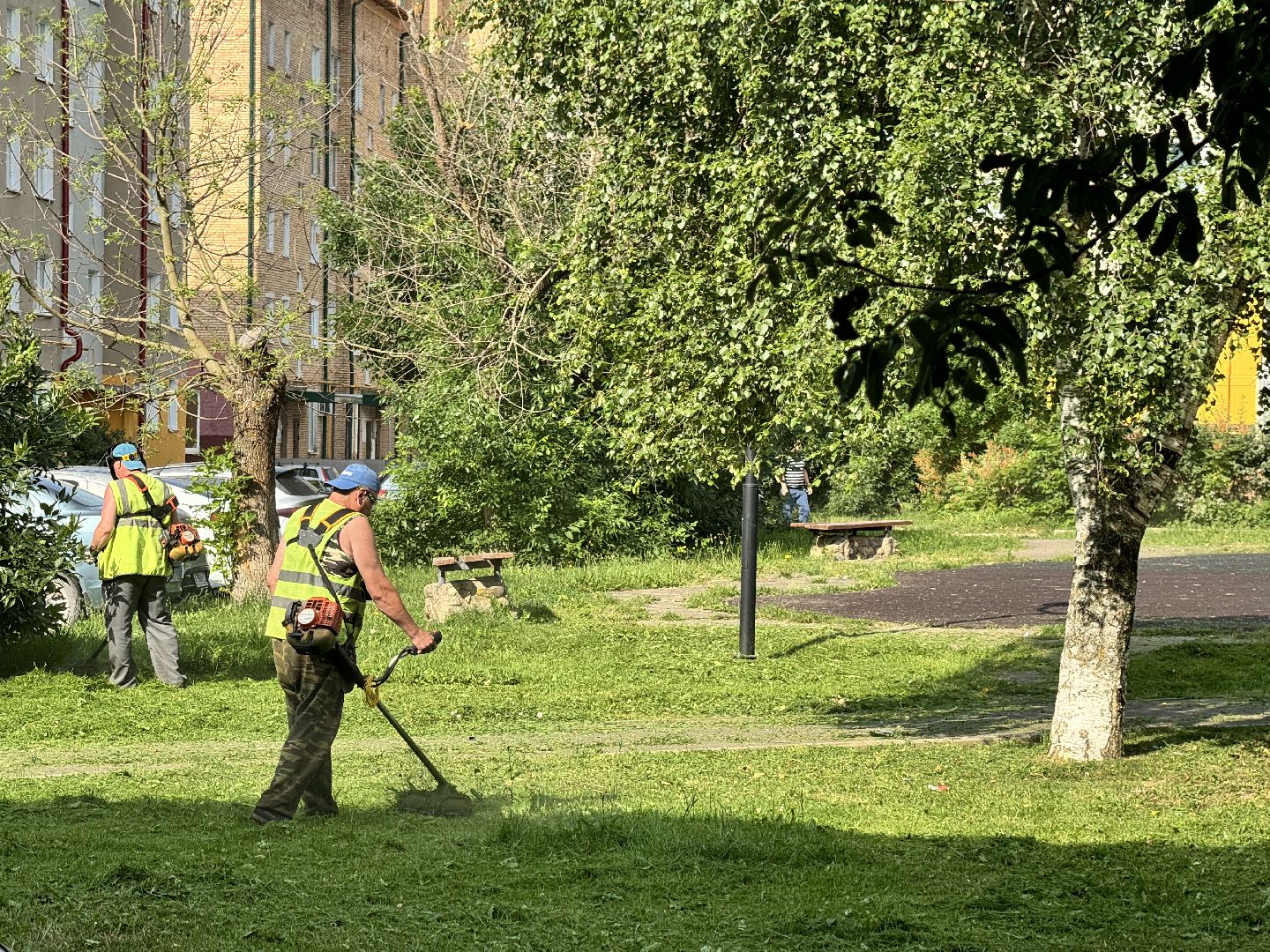 шаховская, покос травы, коммунальная служба,