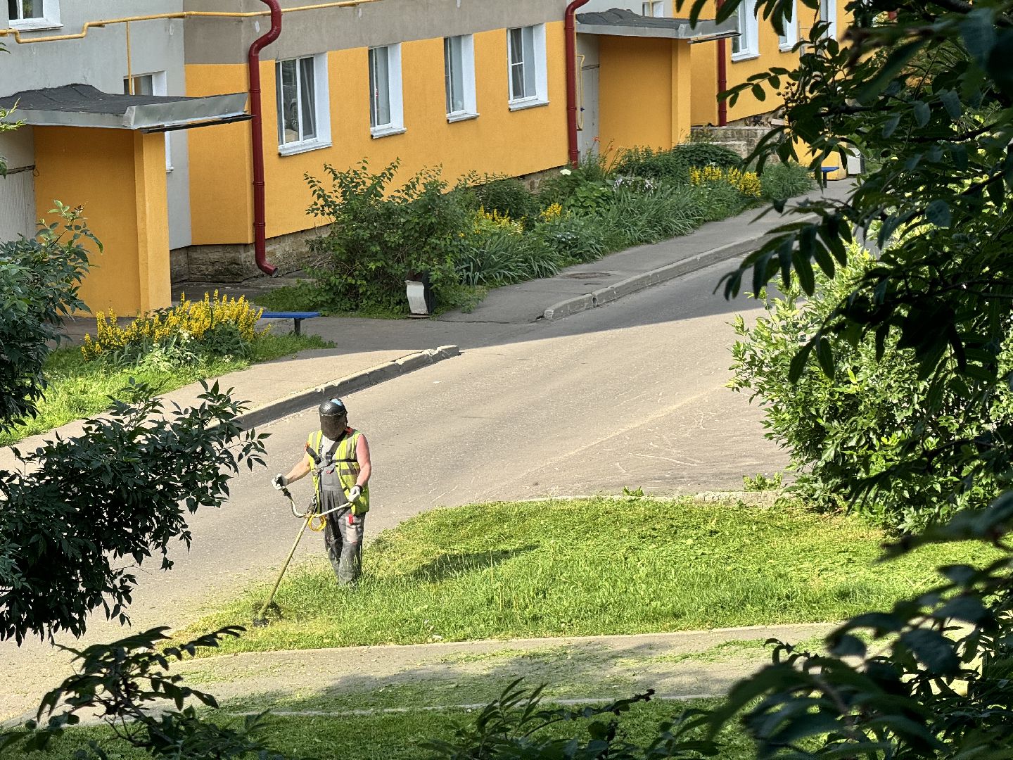 шаховская, покос травы, коммунальная служба,