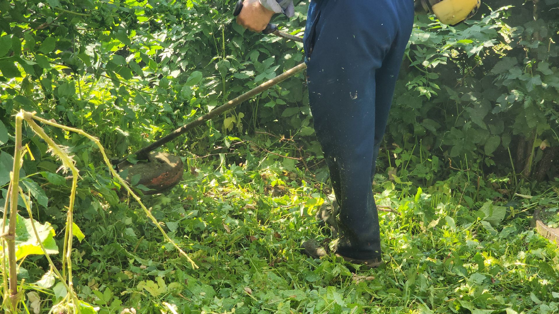 покос травы, благоуйстройство, Лобня,