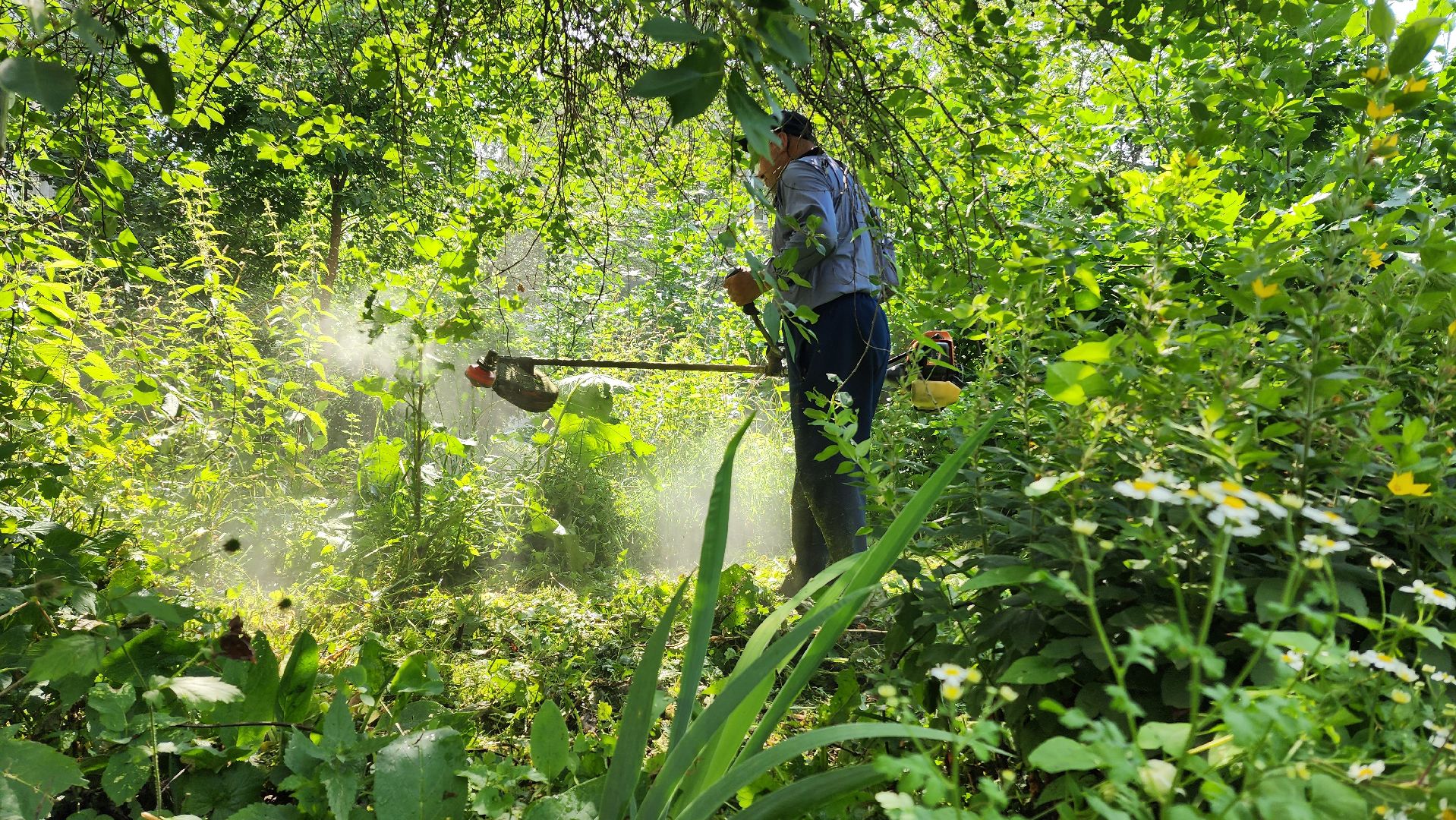 покос травы, благоуйстройство, Лобня,
