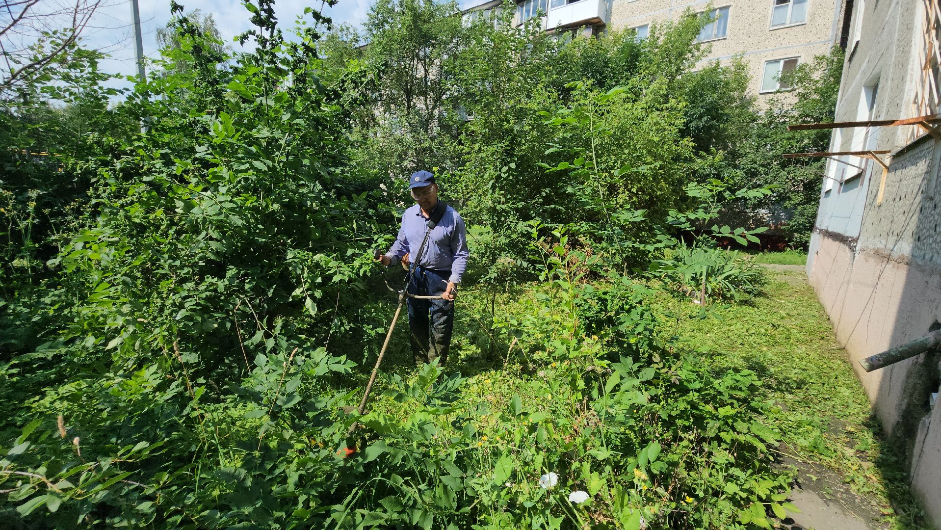 покос травы, благоуйстройство, Лобня,