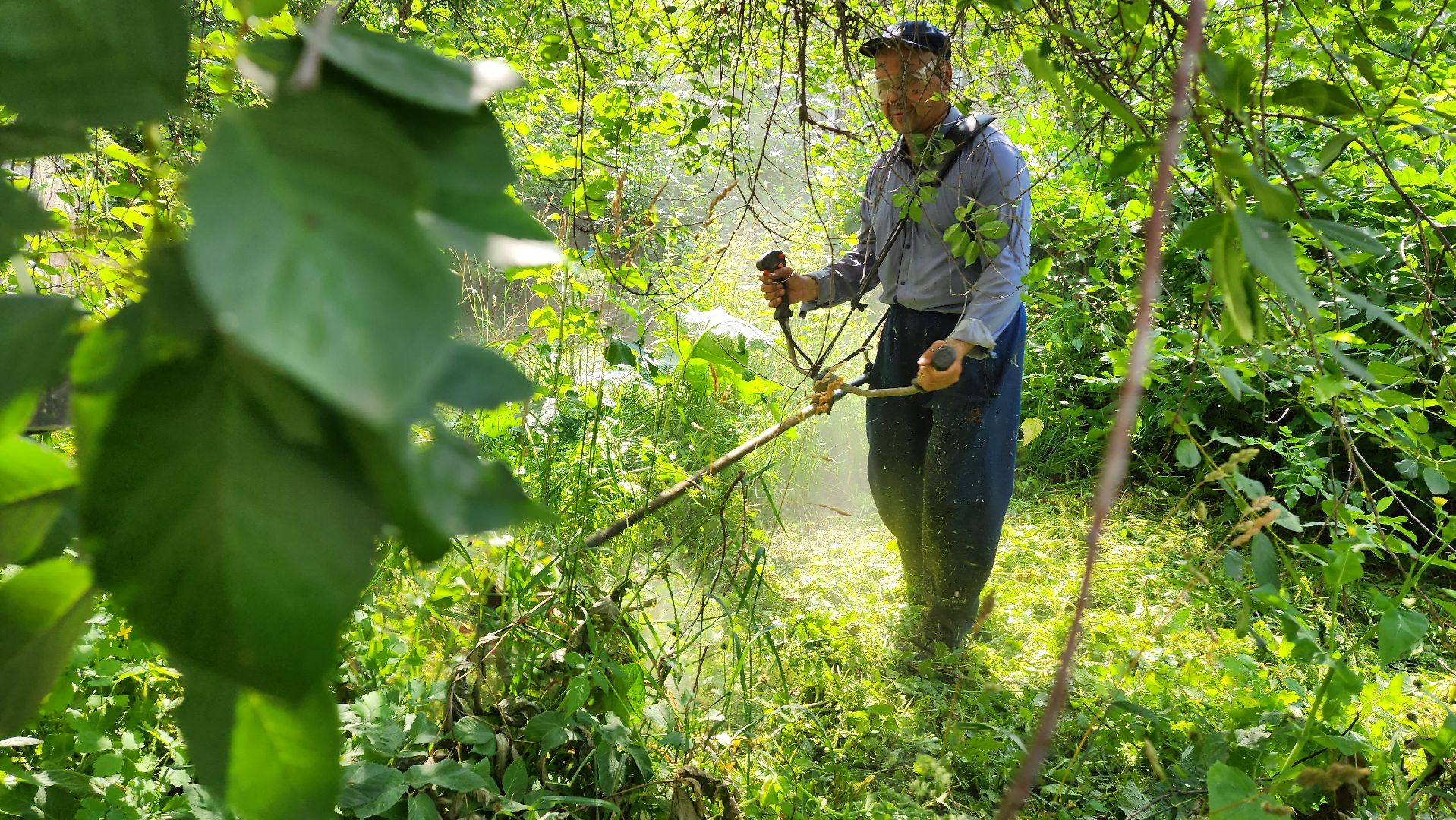 покос травы, благоуйстройство, Лобня,